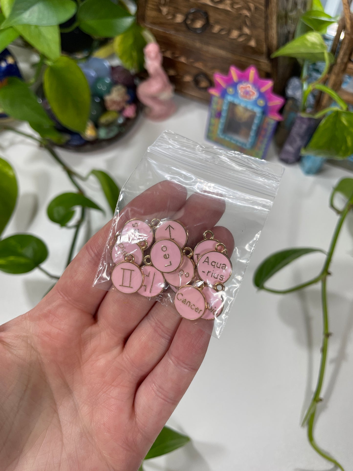 12 Astrology Zodiac Signs Charm Pack (Pink)