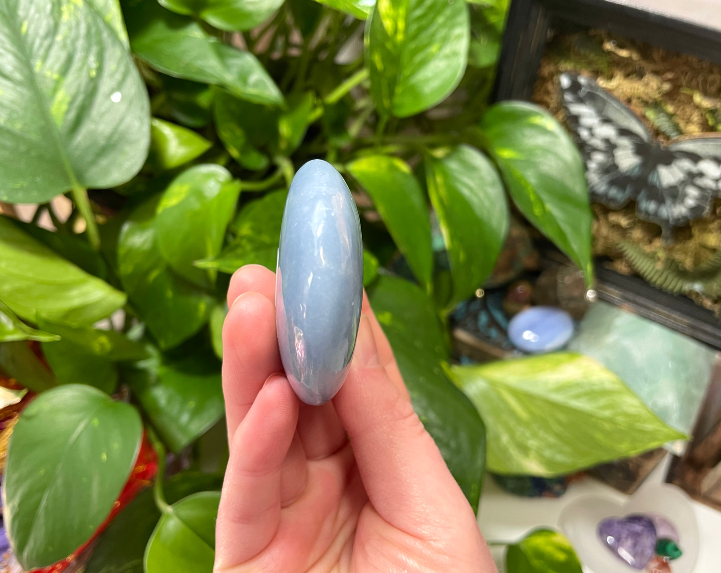 Angelite Palm Stone