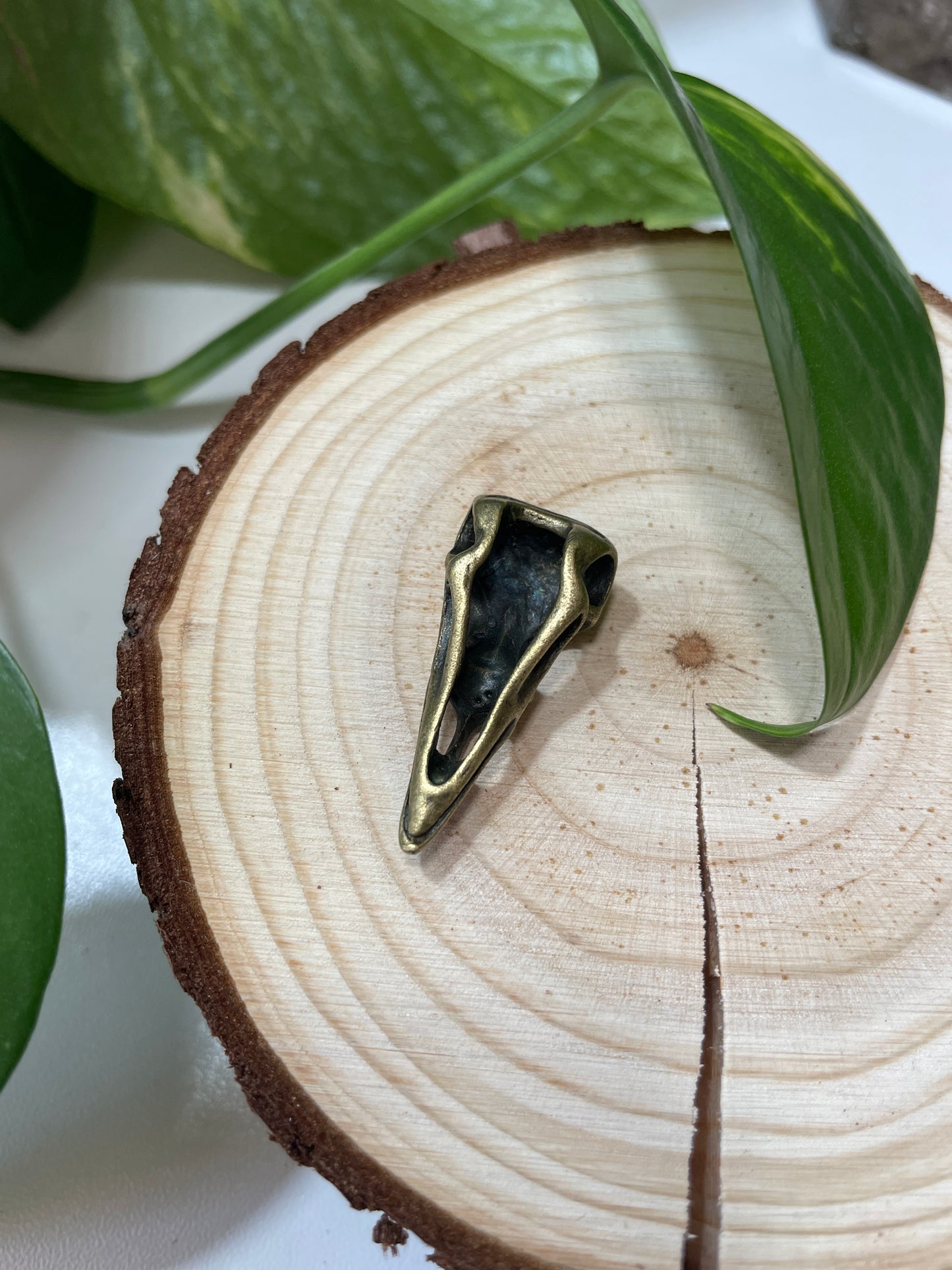 Bird Skull Charm