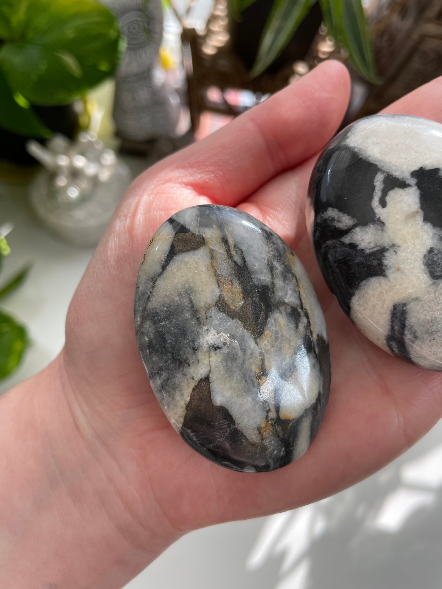 Shell Jasper Palm Stone