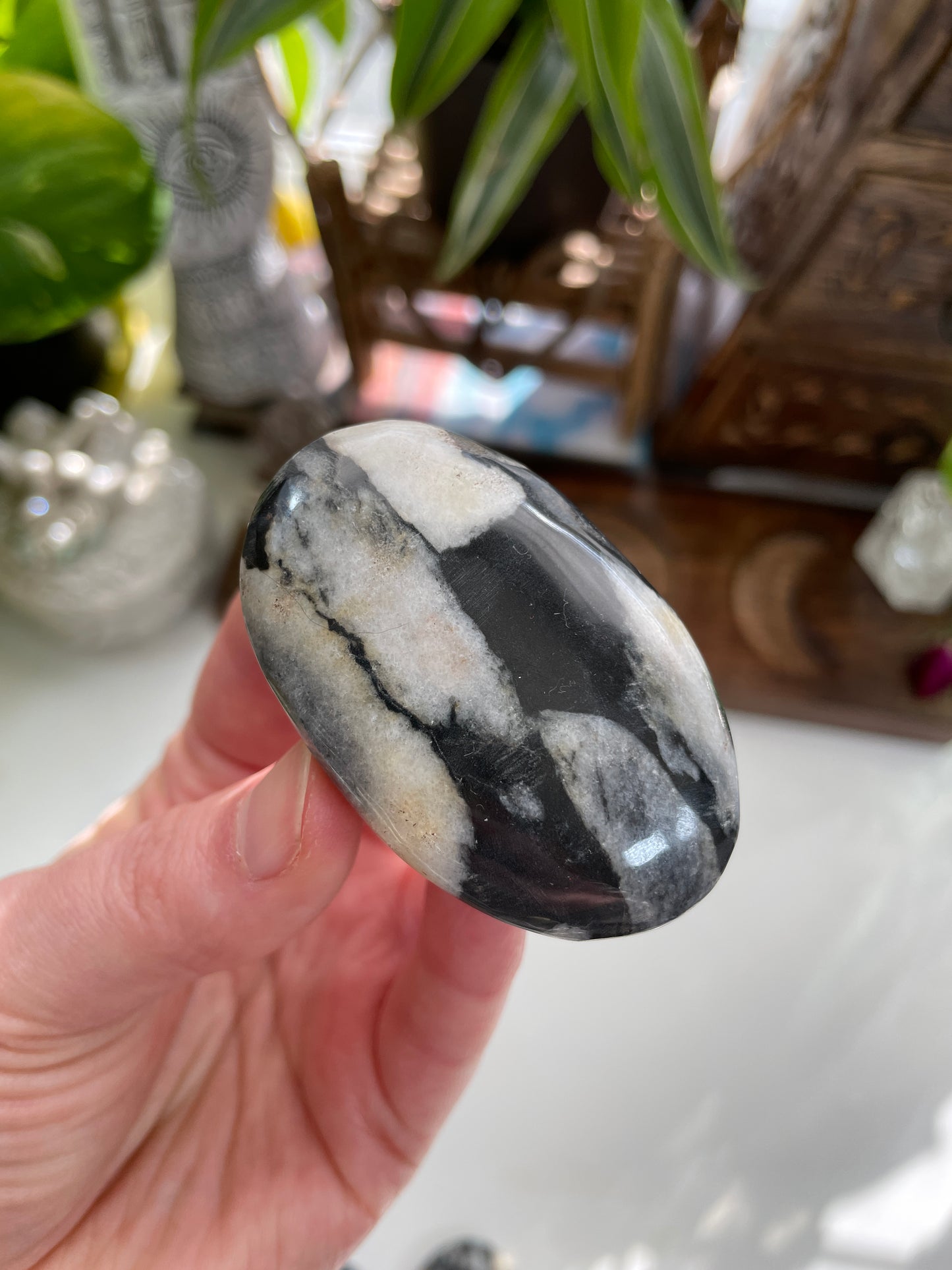 Shell Jasper Palm Stone