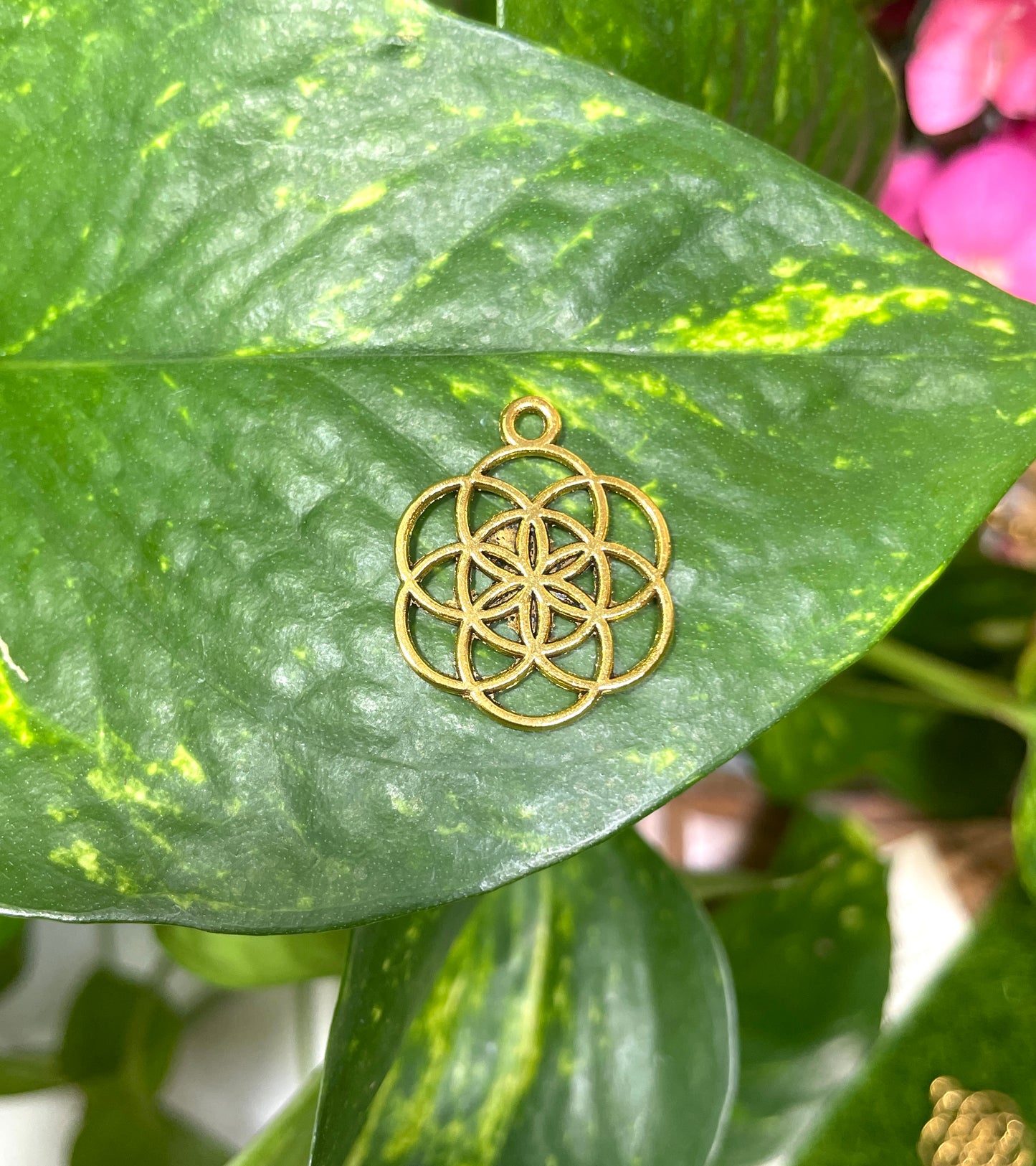 Gold Hollow Flower of Life
