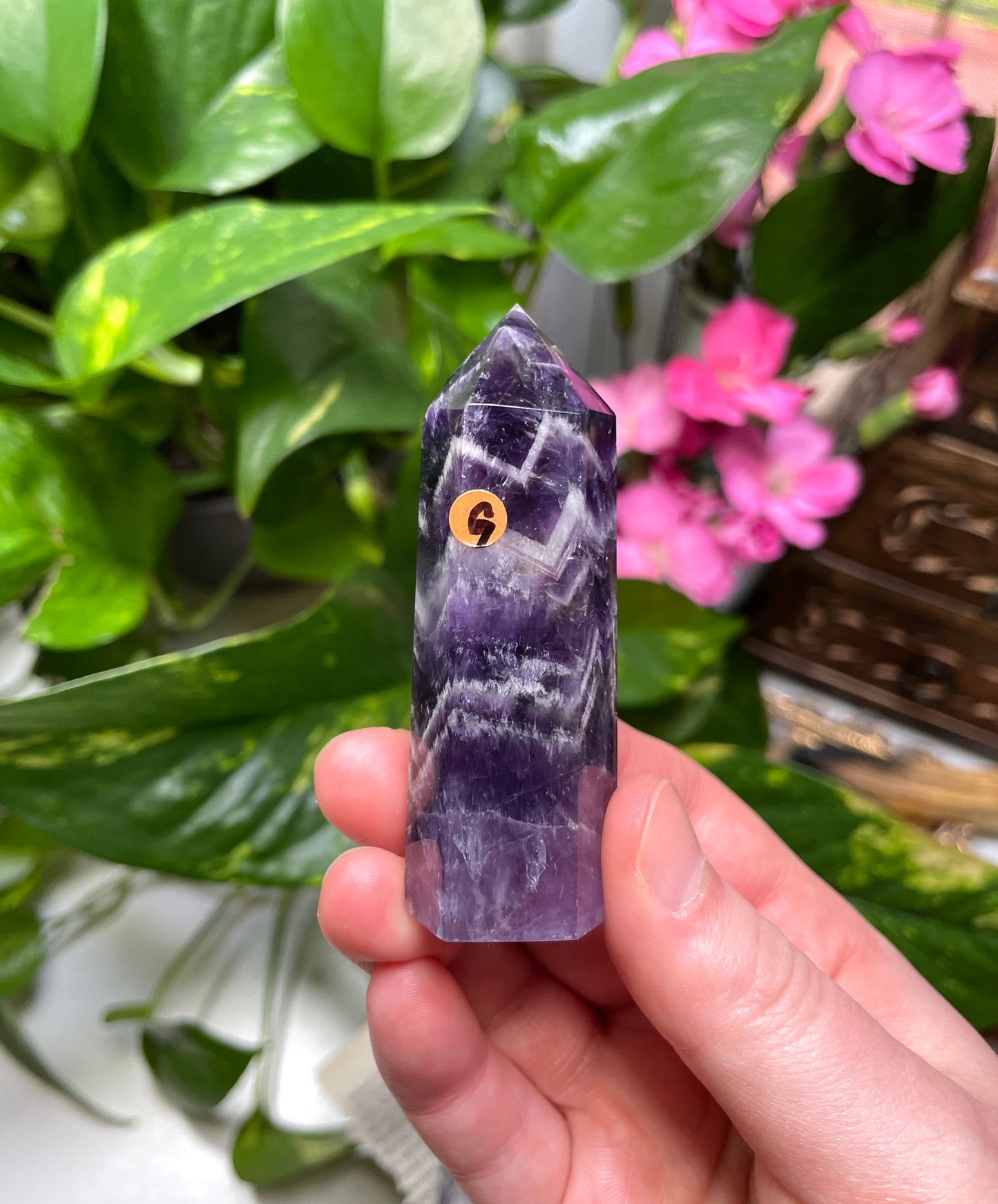 Chevron Amethyst Point