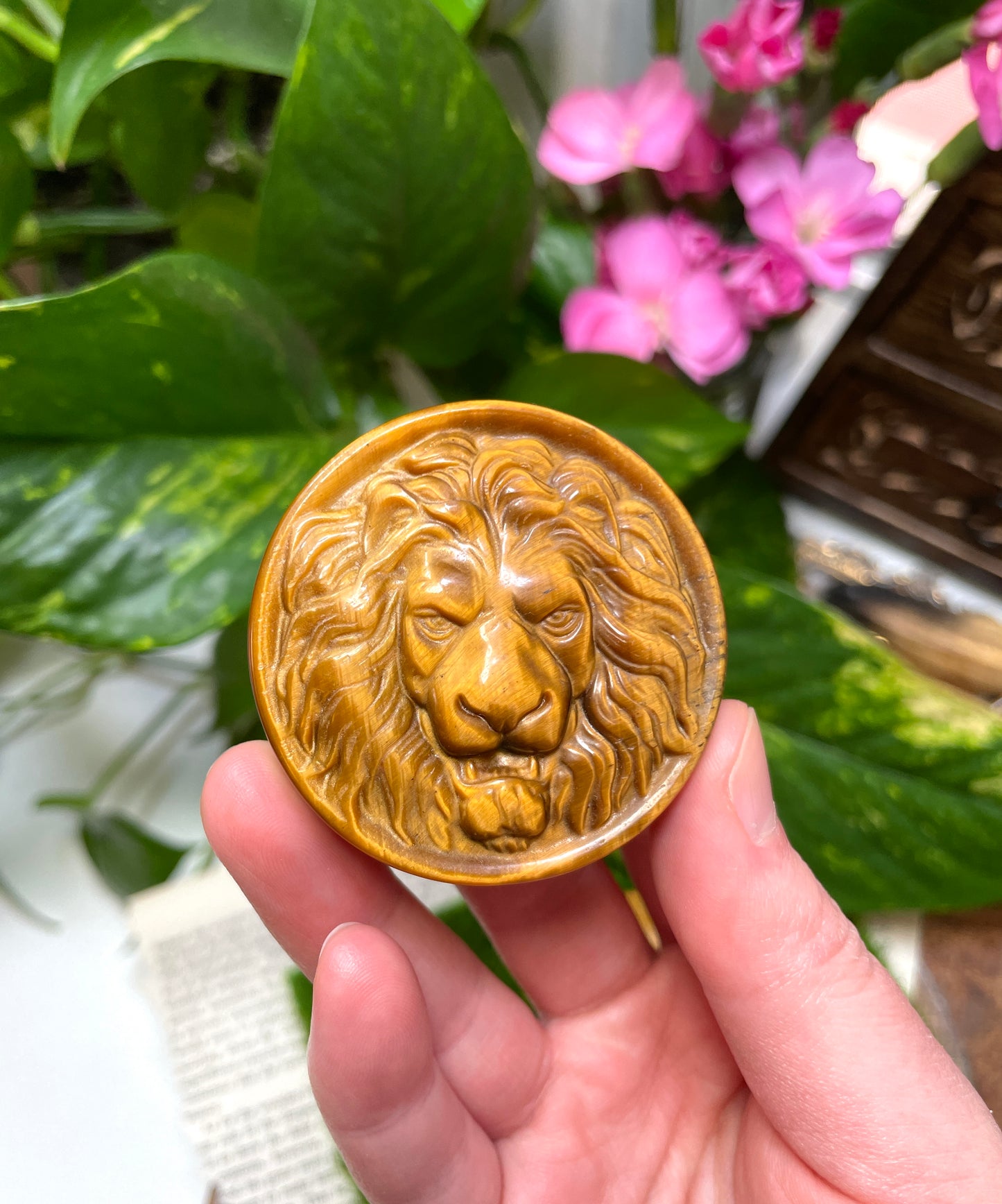 Tigers Eye Lion Medallion Carving