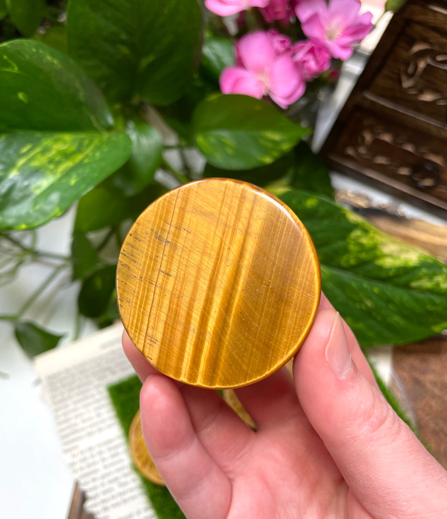 Tigers Eye Lion Medallion Carving