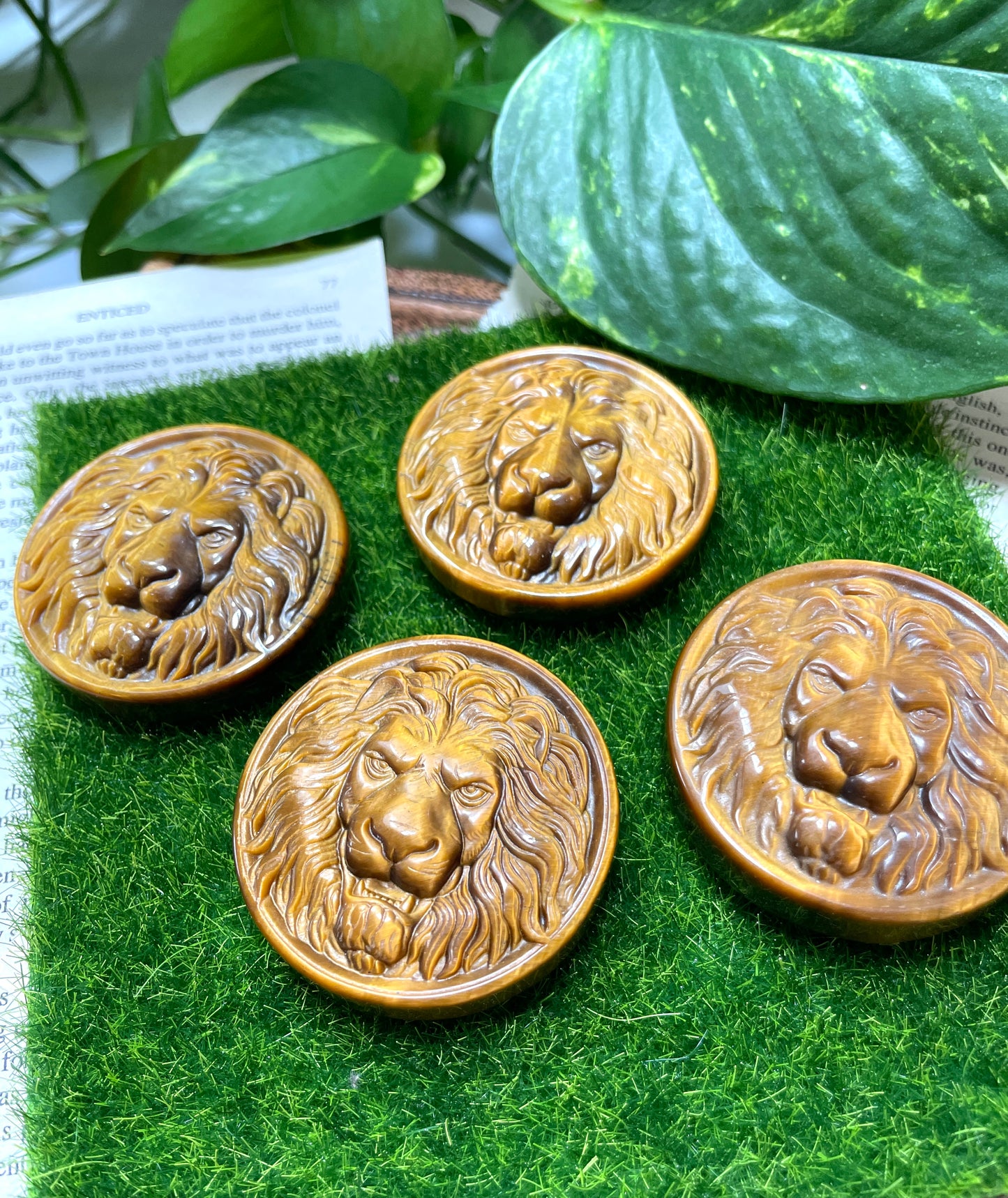 Tigers Eye Lion Medallion Carving