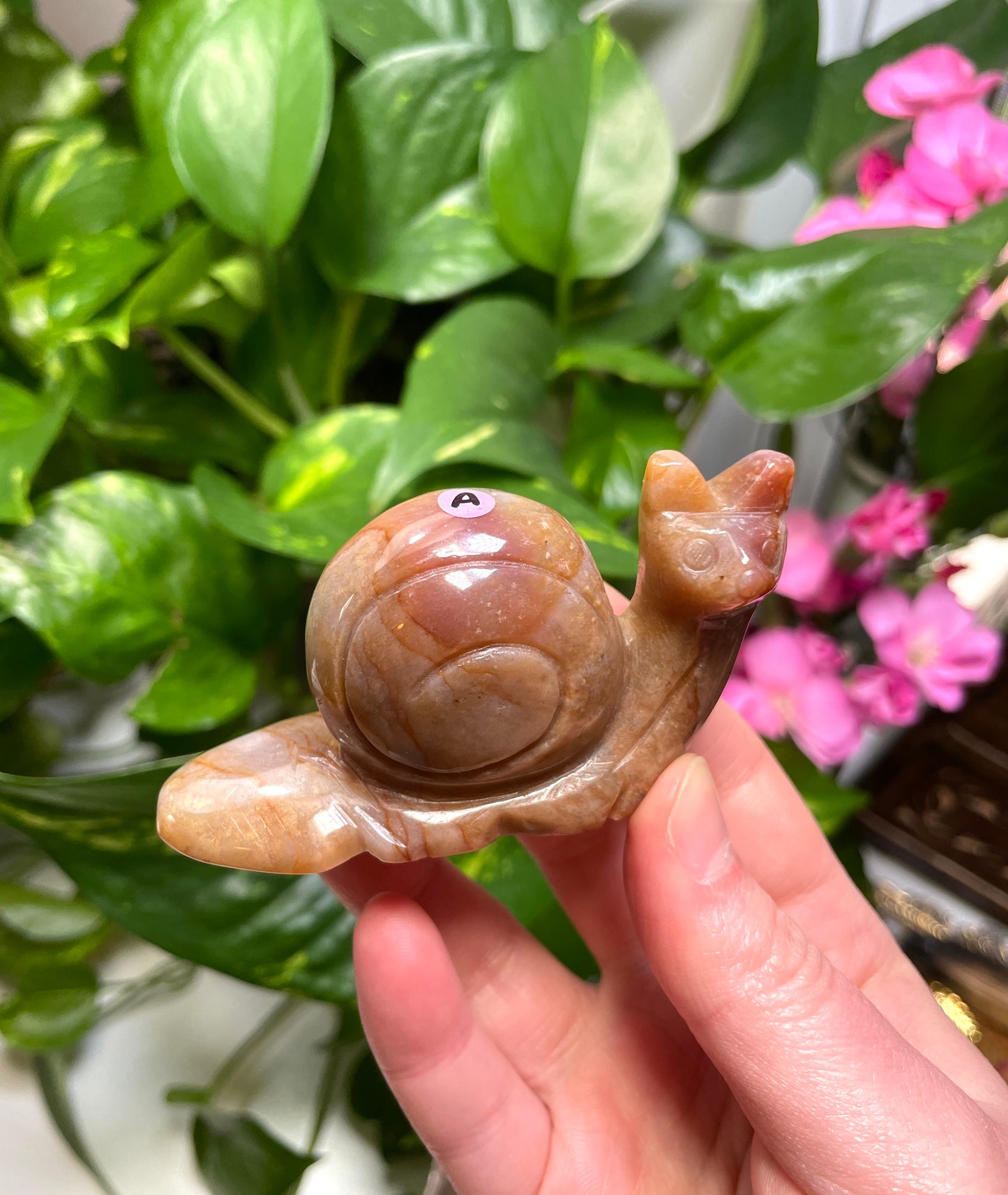 Ocean Jasper Snail Carving