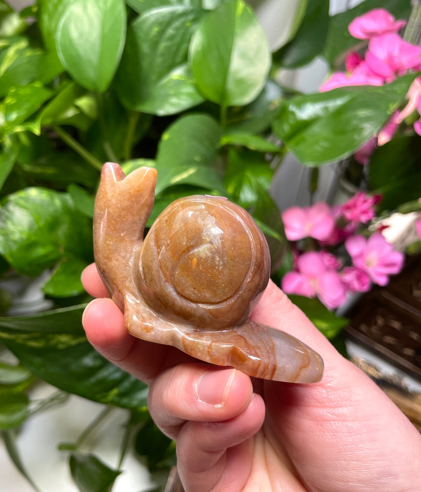 Ocean Jasper Snail Carving