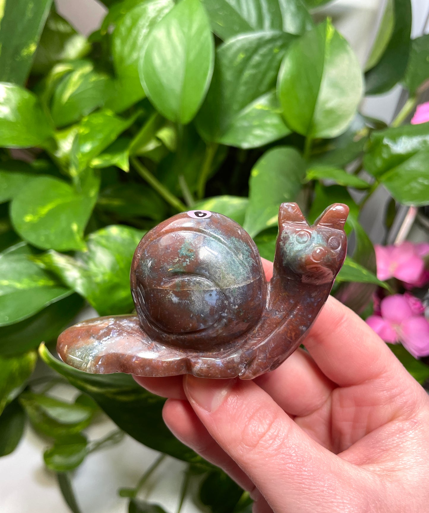 Ocean Jasper Snail Carving