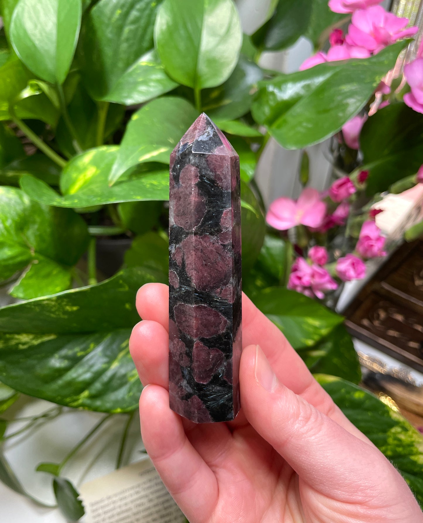 Astrophyllite with Garnet Point