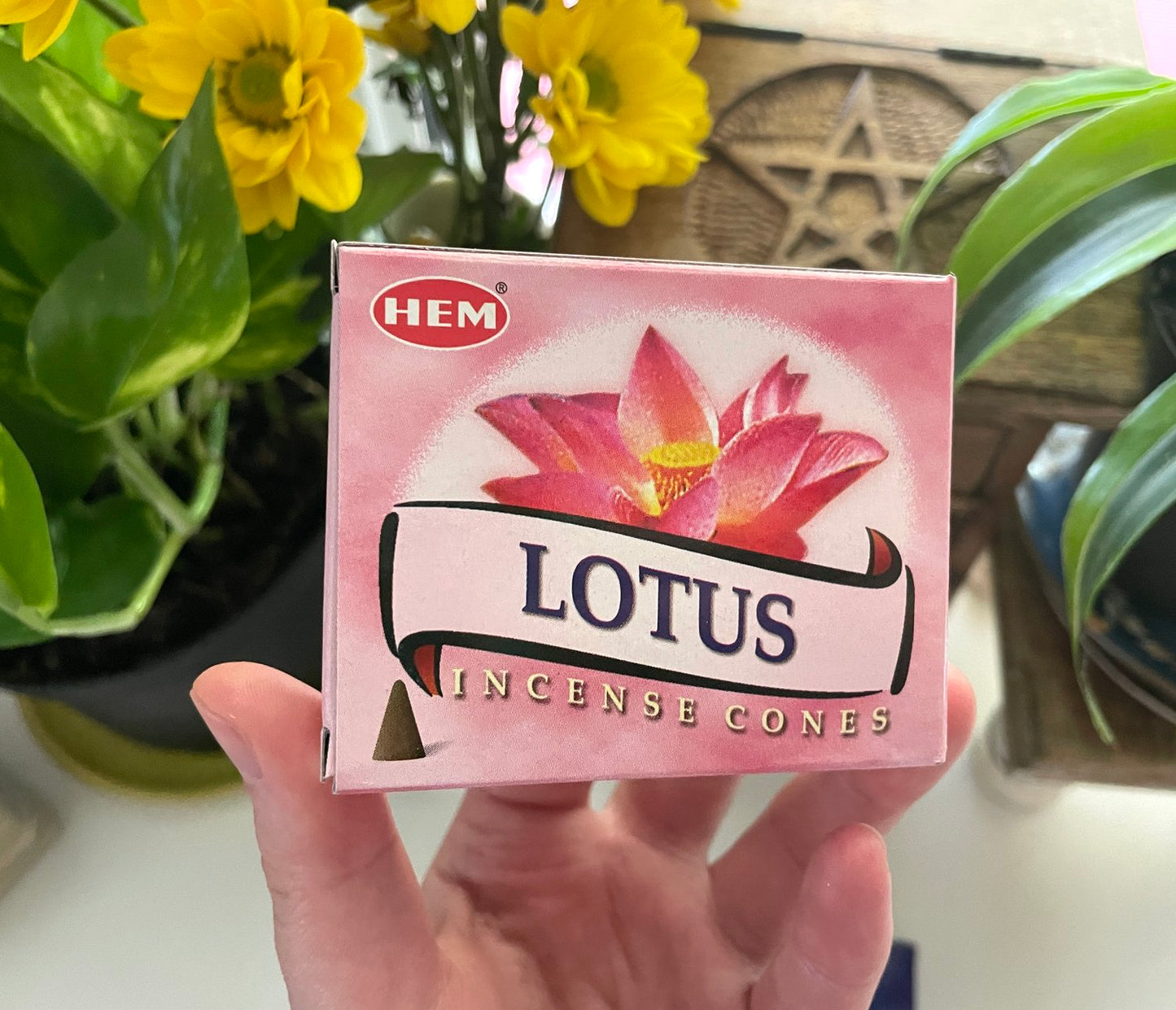 Hem Incense Cones