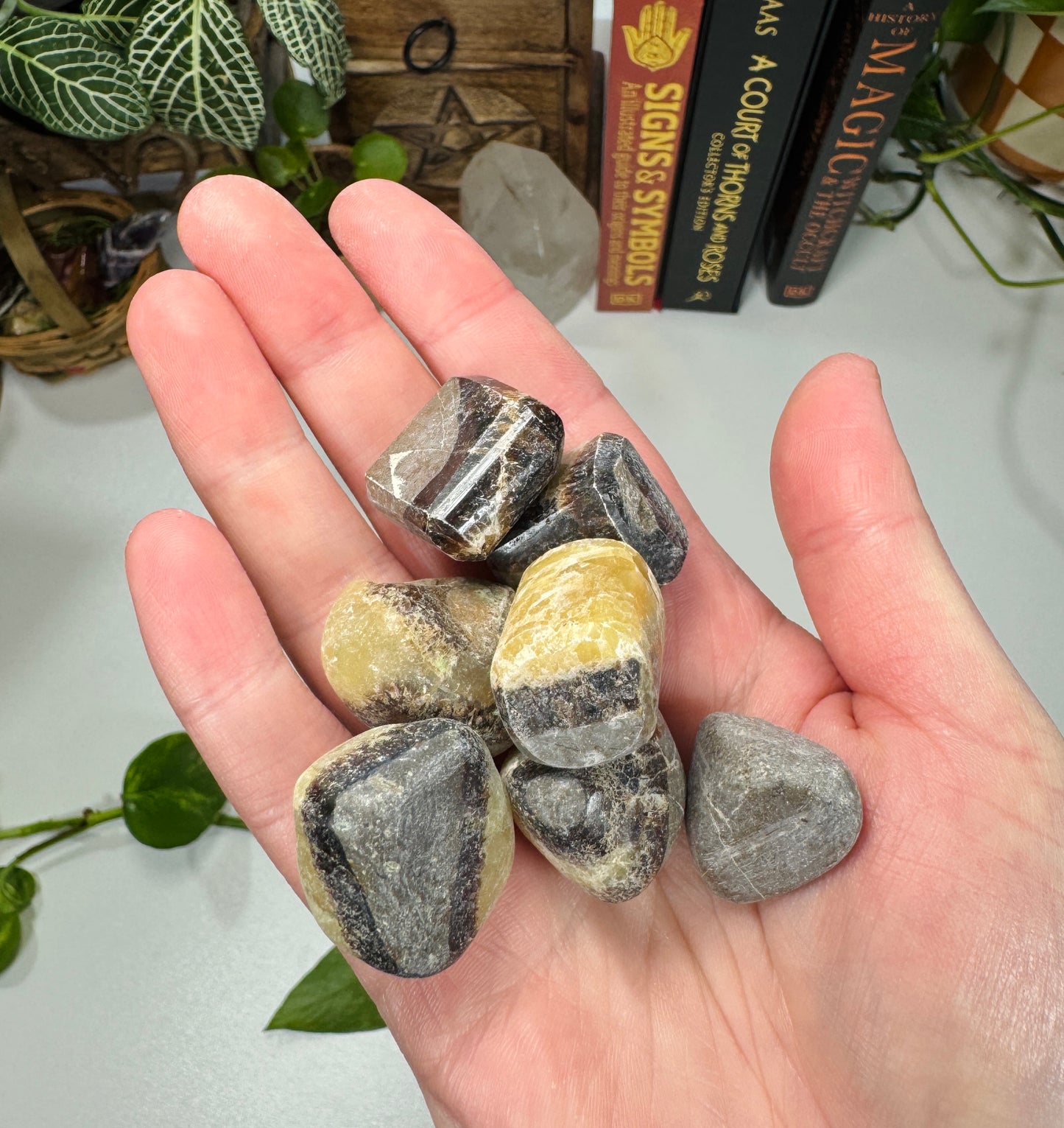 Septarian Tumble