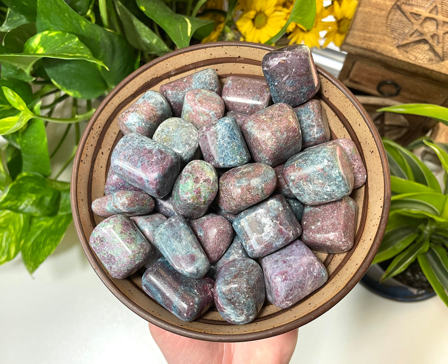 Ruby in Kyanite Tumble
