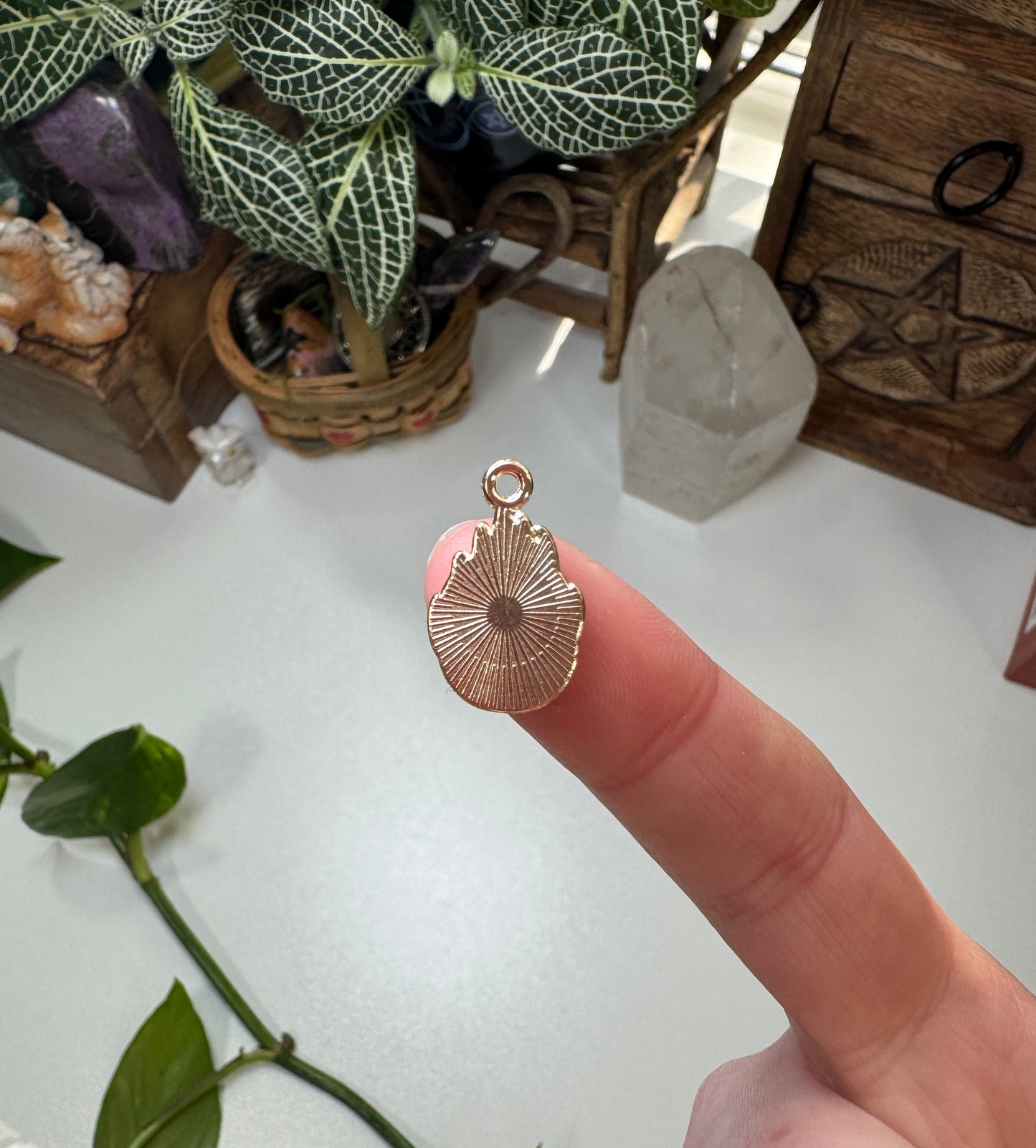 Dragon Fruit Pitaya Charm