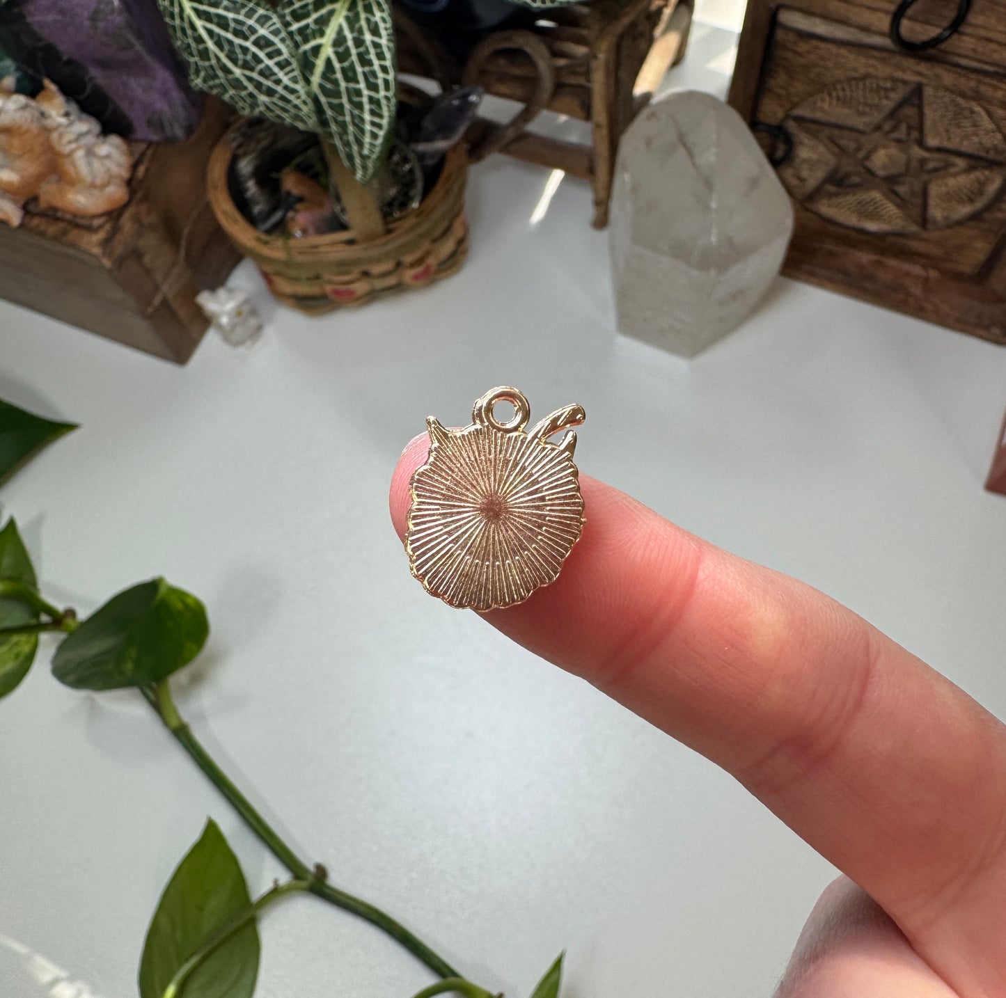 Raspberry Charm