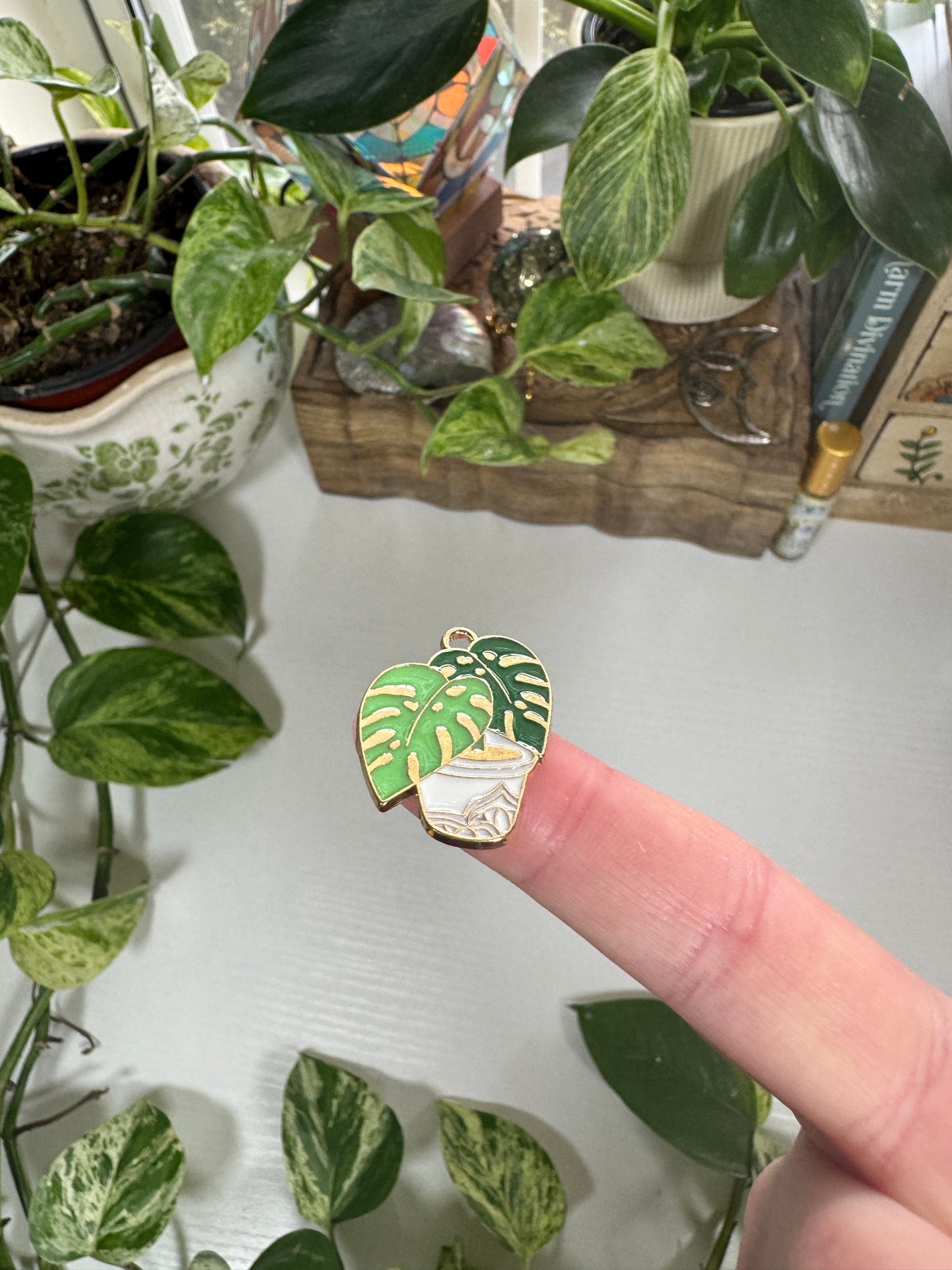 House Plant Charm