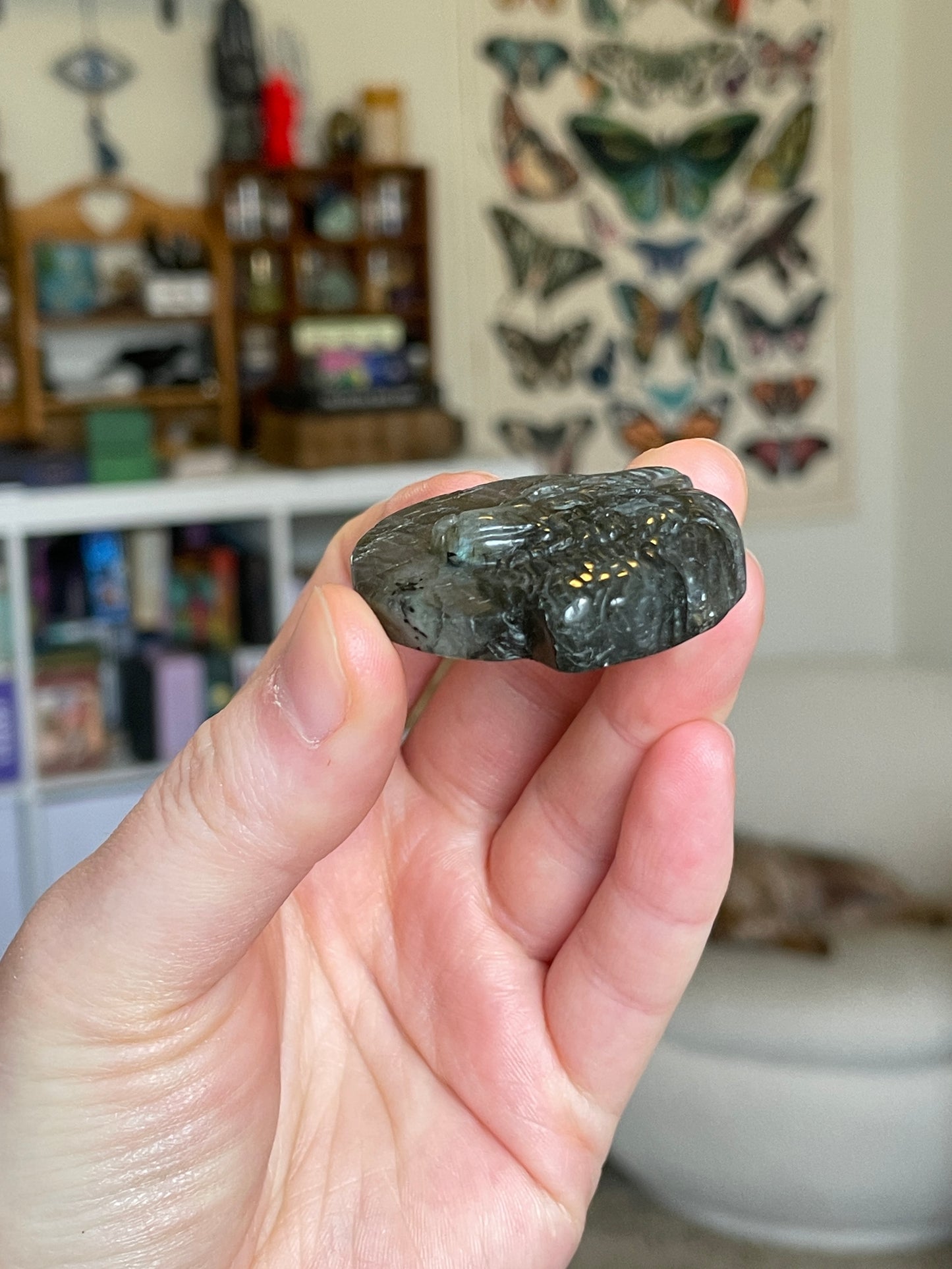 Labradorite Wolf Carving