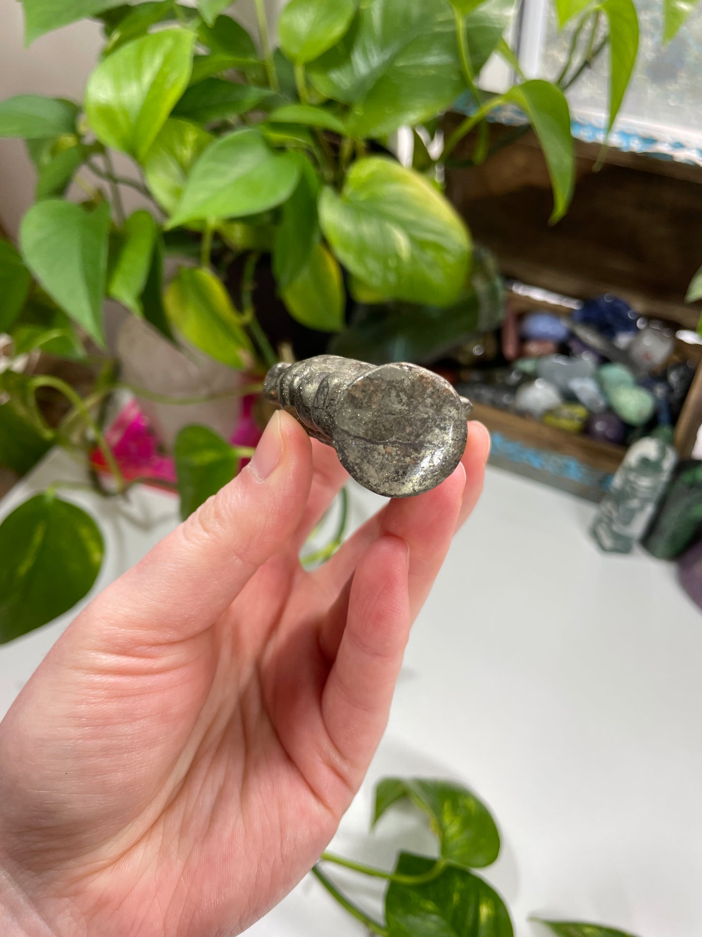 Pyrite Seahorse Carving