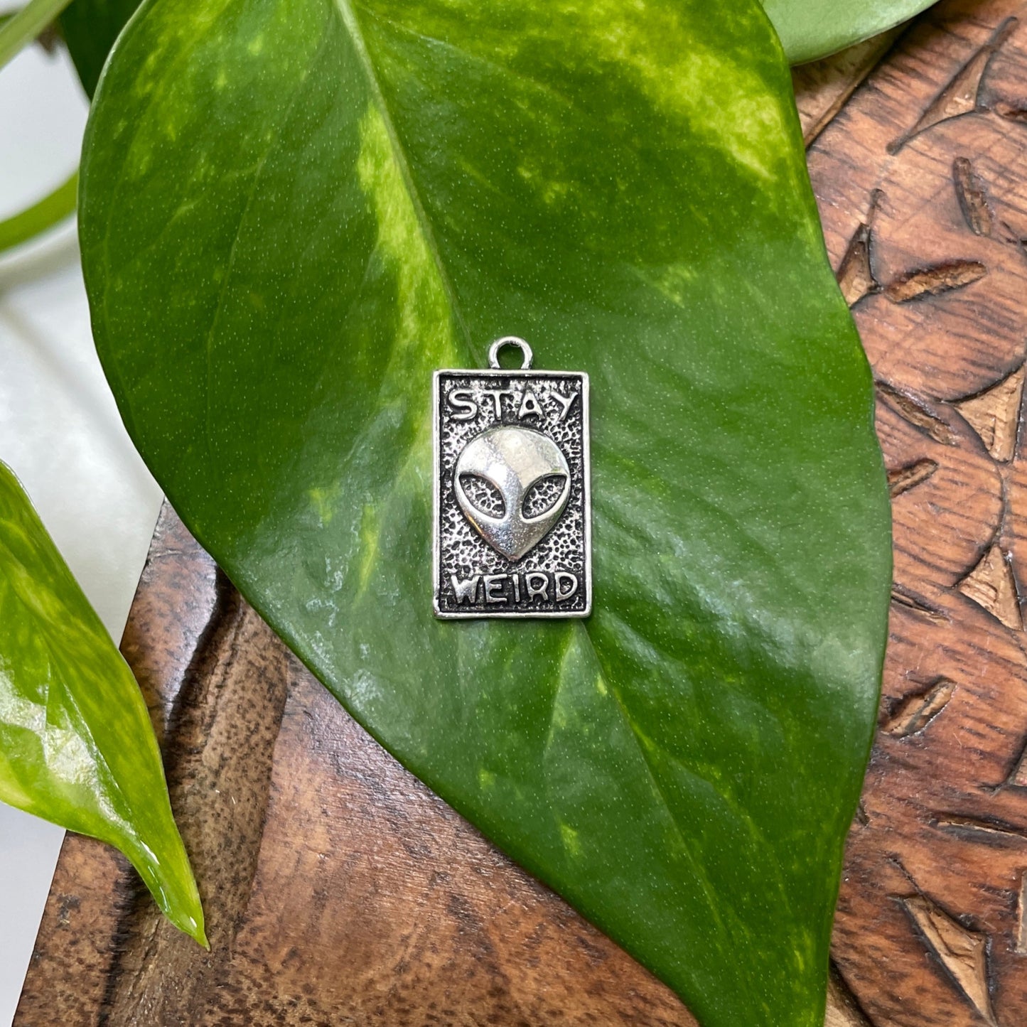 Stay Weird Alien Charm