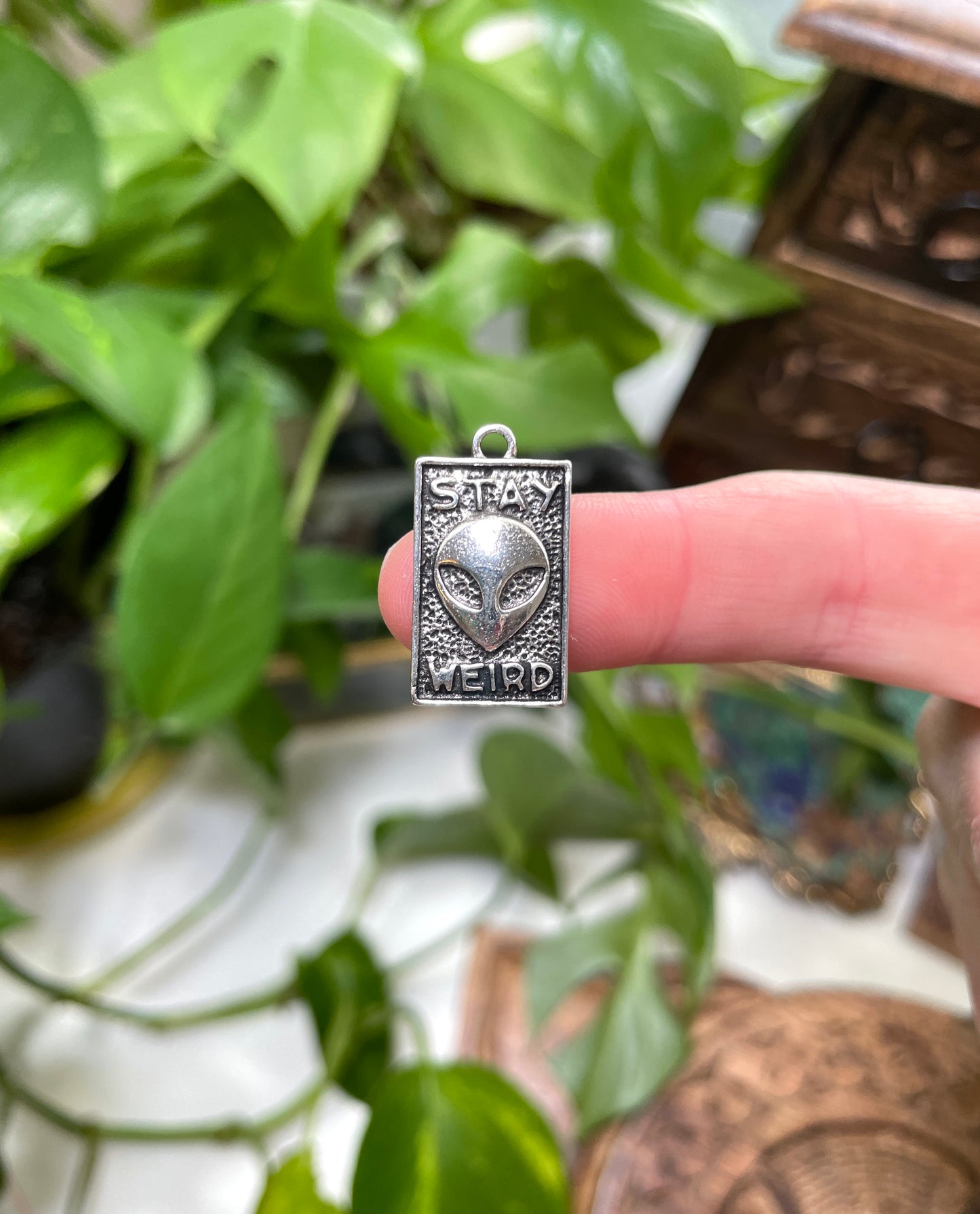 Stay Weird Alien Charm