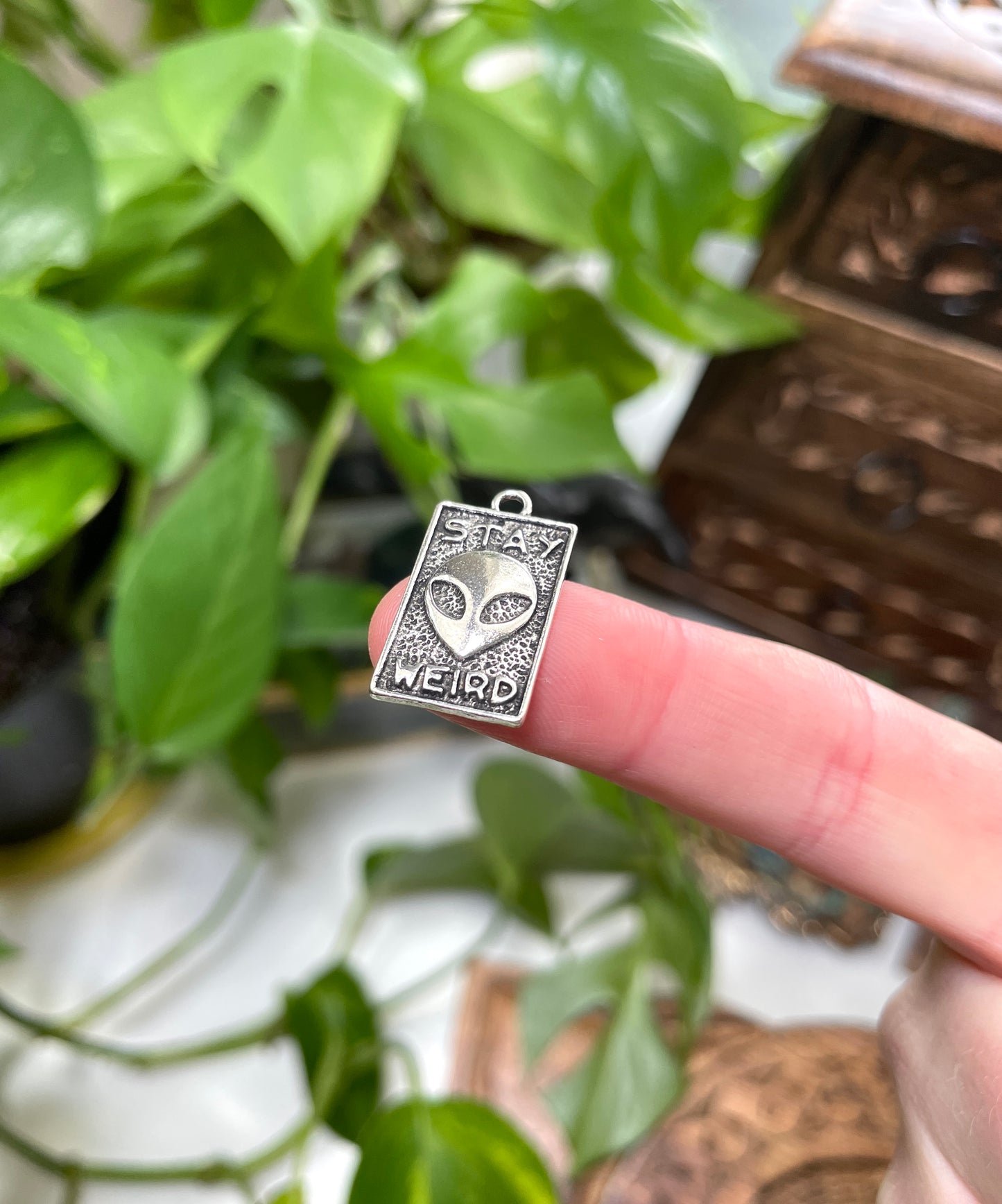 Stay Weird Alien Charm