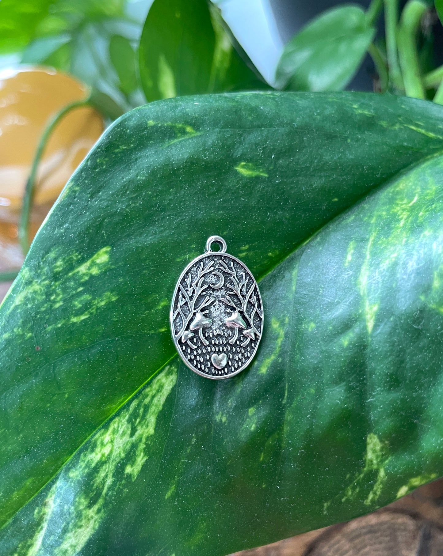 Grows Under Darkness Charm