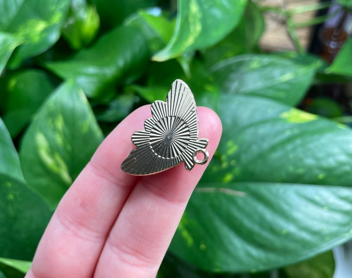 Eyes Wide Moth Charm