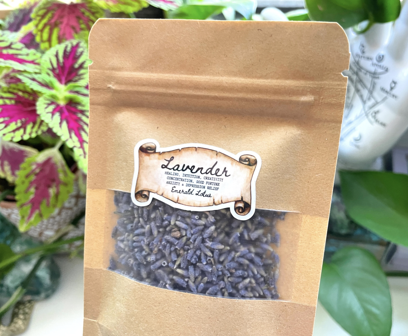 Dried Lavender Flower Buds