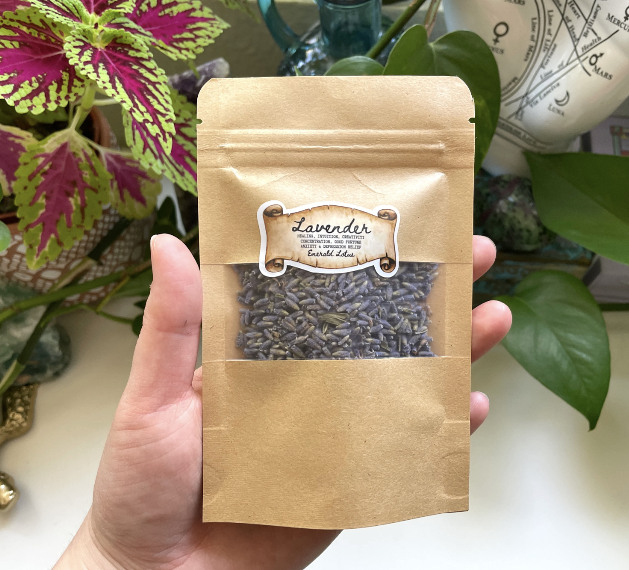 Dried Lavender Flower Buds