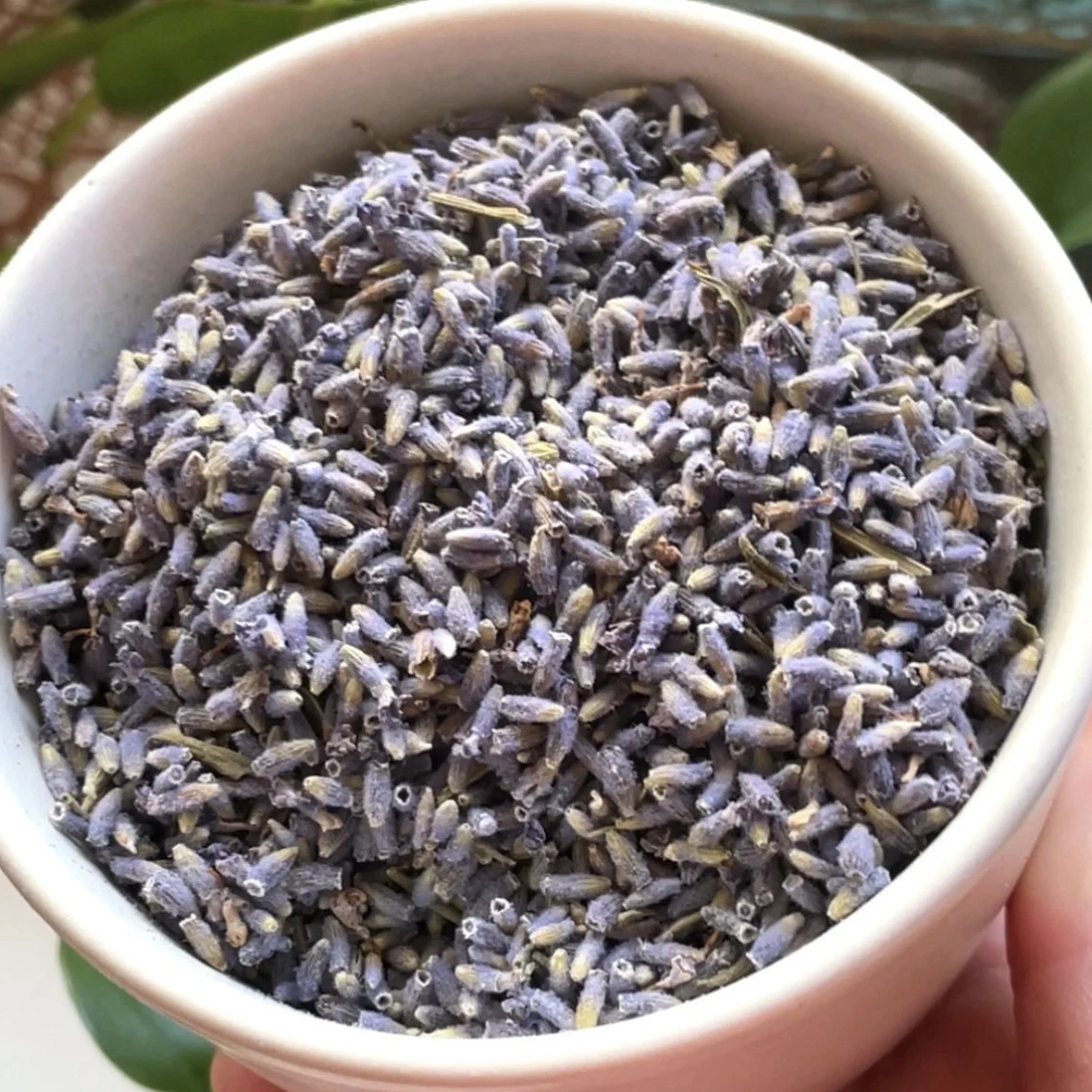 Dried Lavender Flower Buds