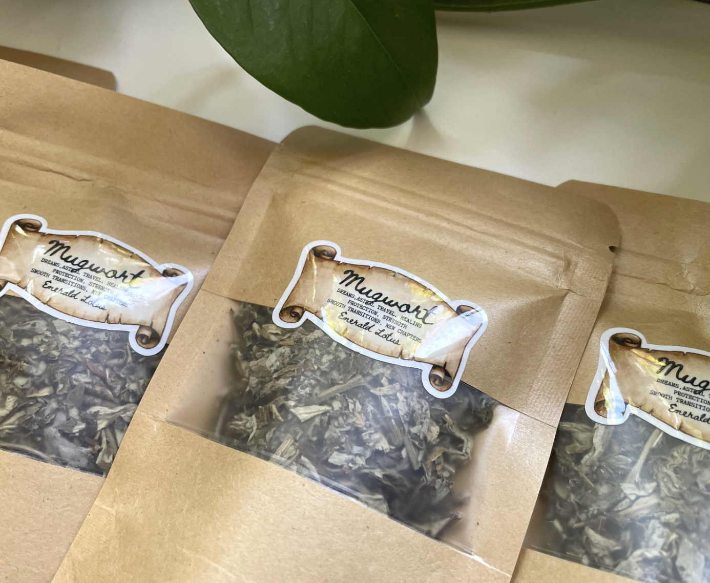 Dried Mugwort Artemisia Vulgaris