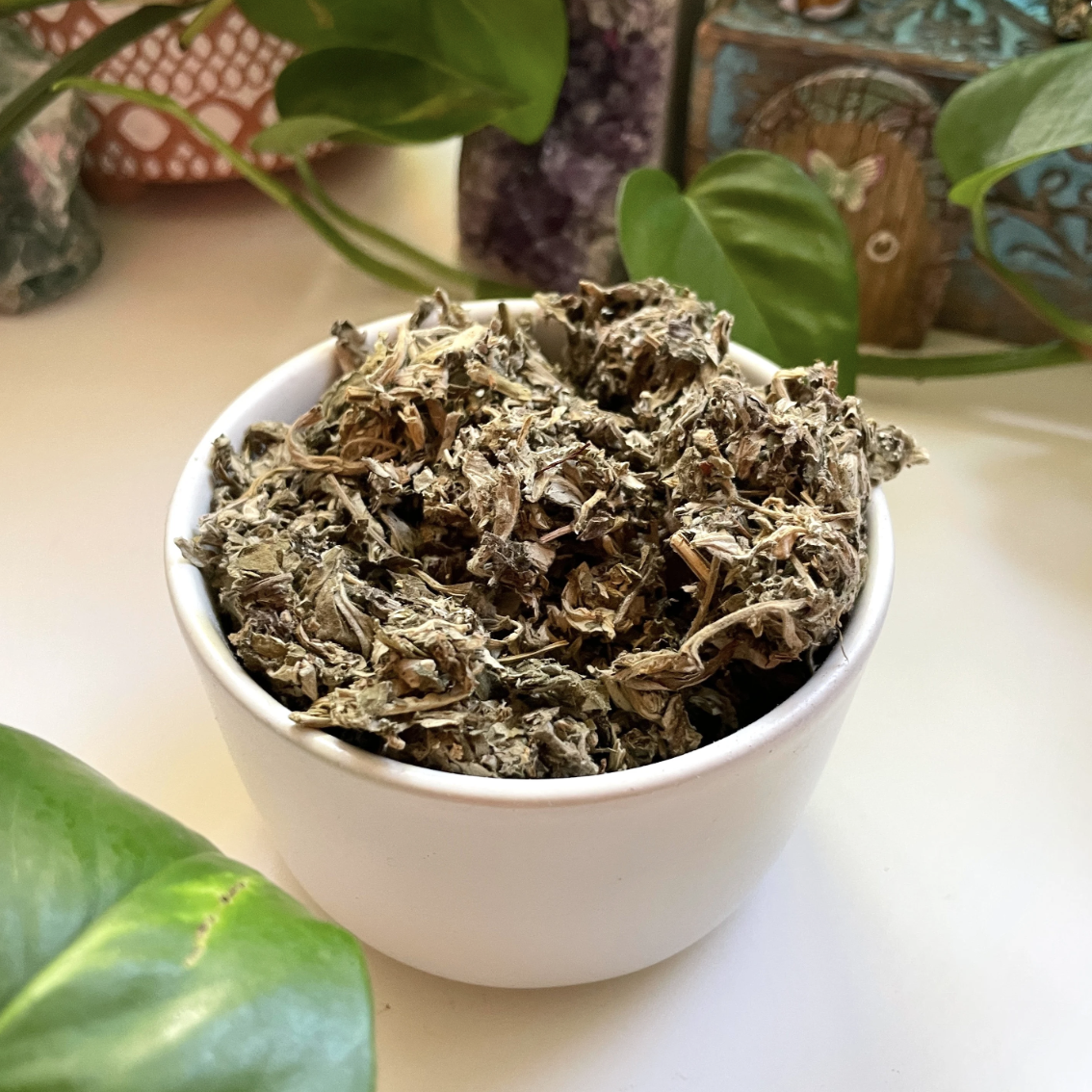 Dried Mugwort Artemisia Vulgaris
