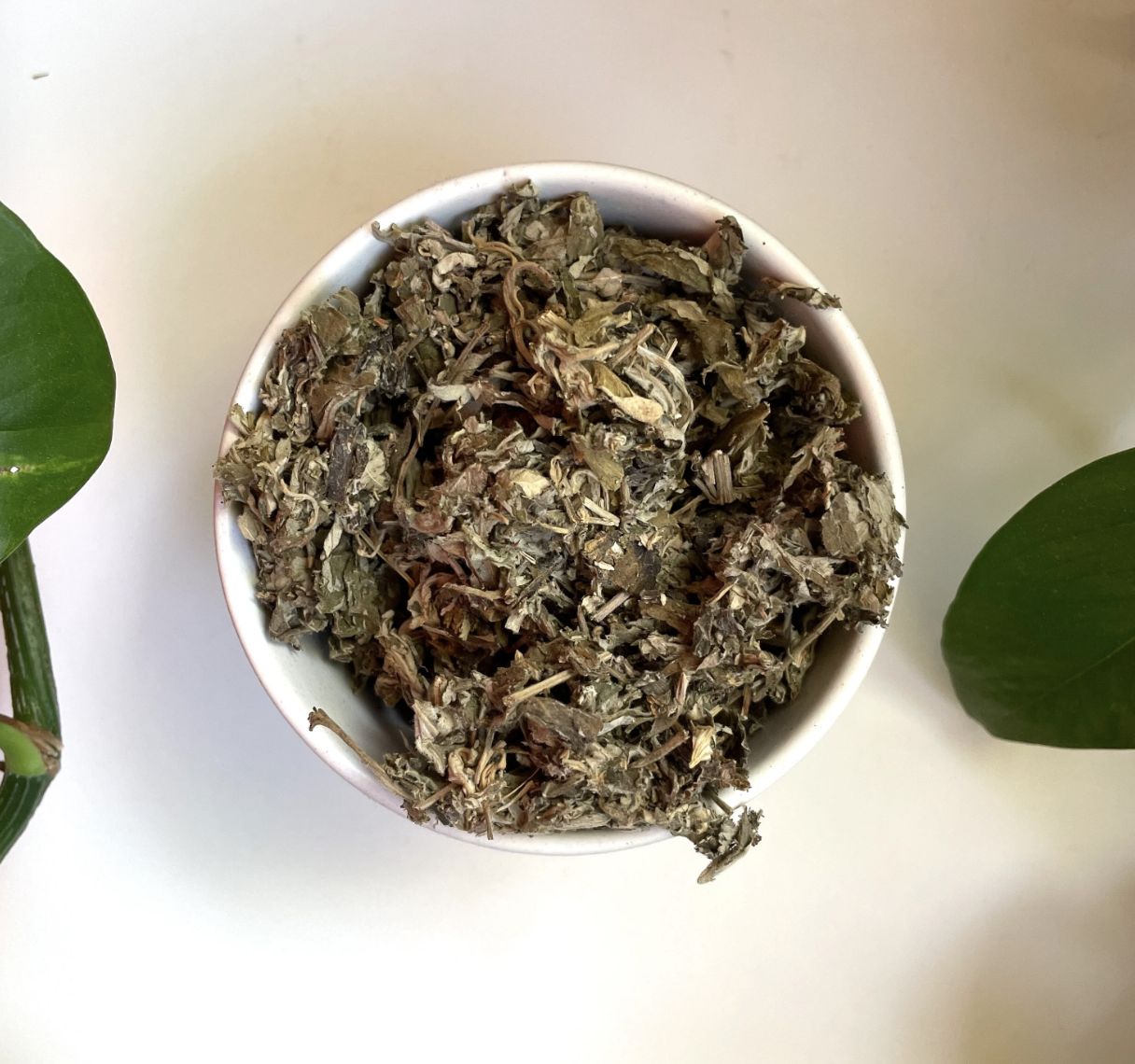 Dried Mugwort Artemisia Vulgaris