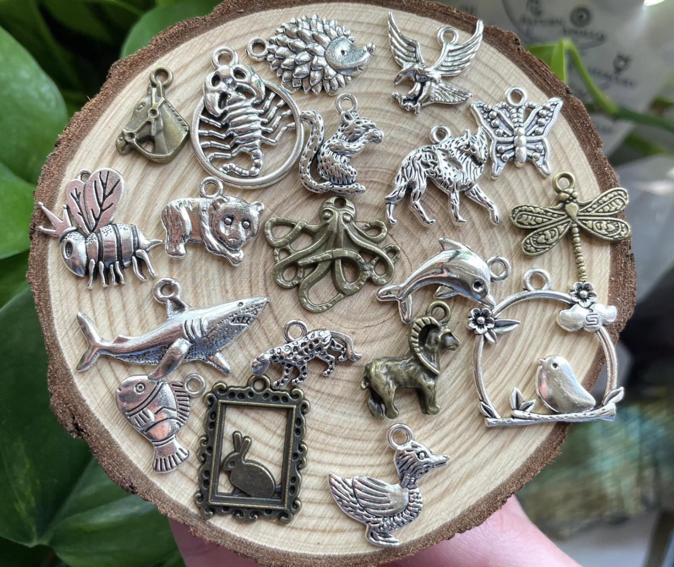 Animal Charm Pack (Mystery Kit)