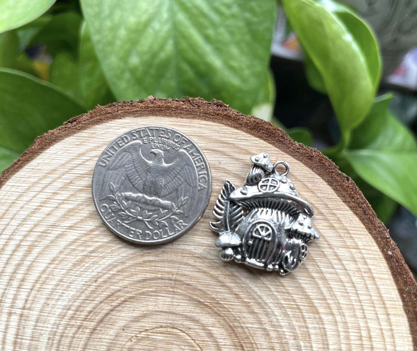 Mushroom Cottage Charm