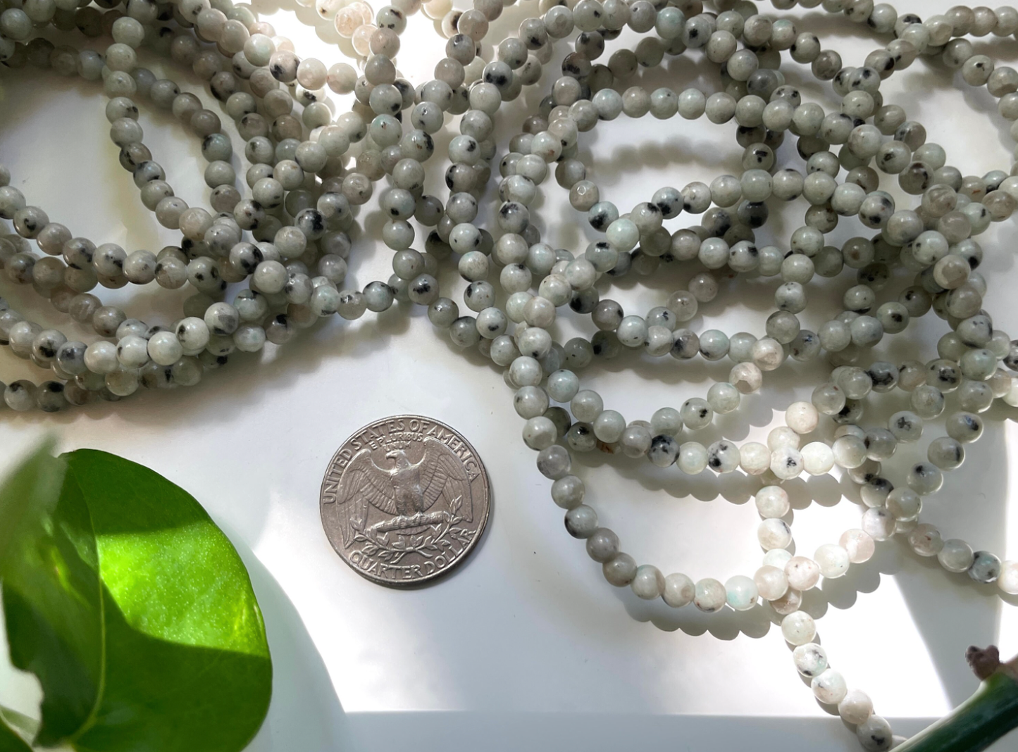 Kiwi Jasper Bracelet | 4mm Beads