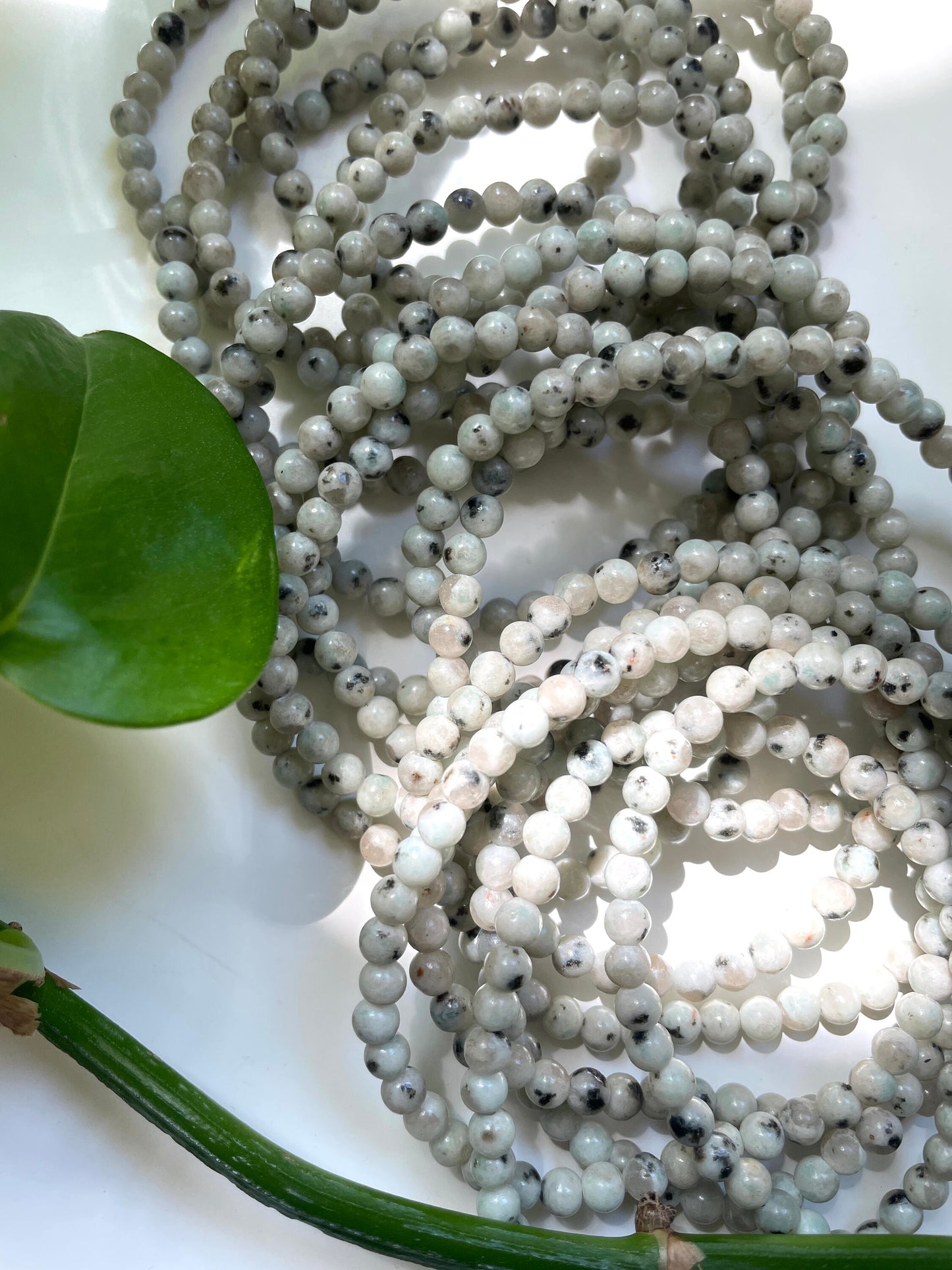 Kiwi Jasper Bracelet | 4mm Beads