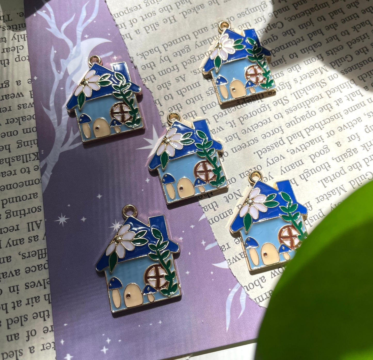 House Charm