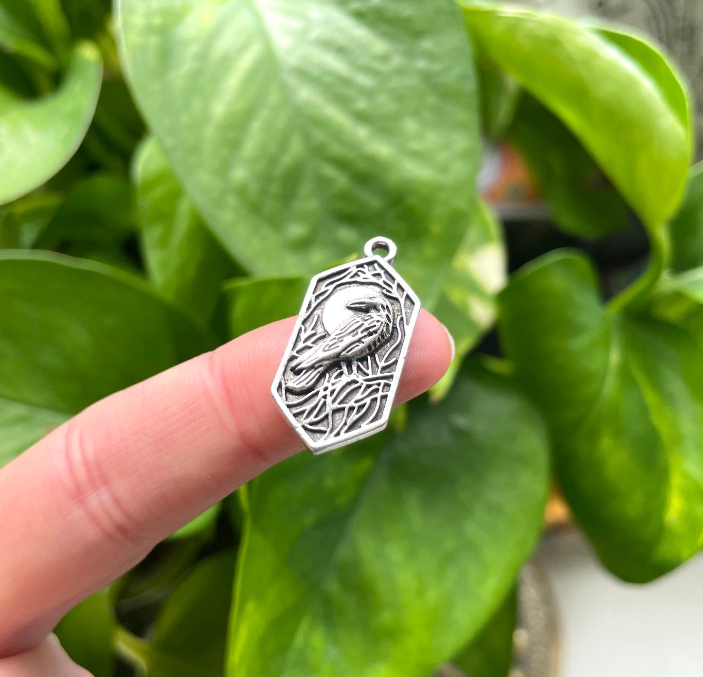 Mystic Crow Charm