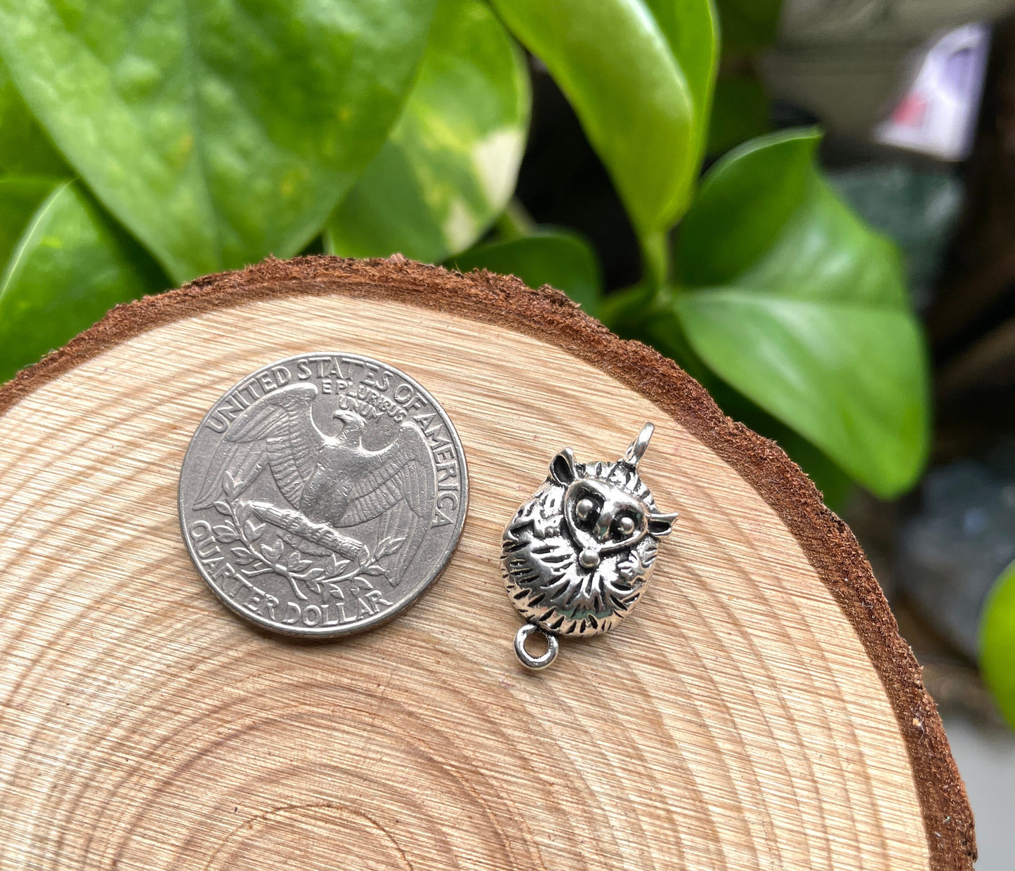 Possum Charm
