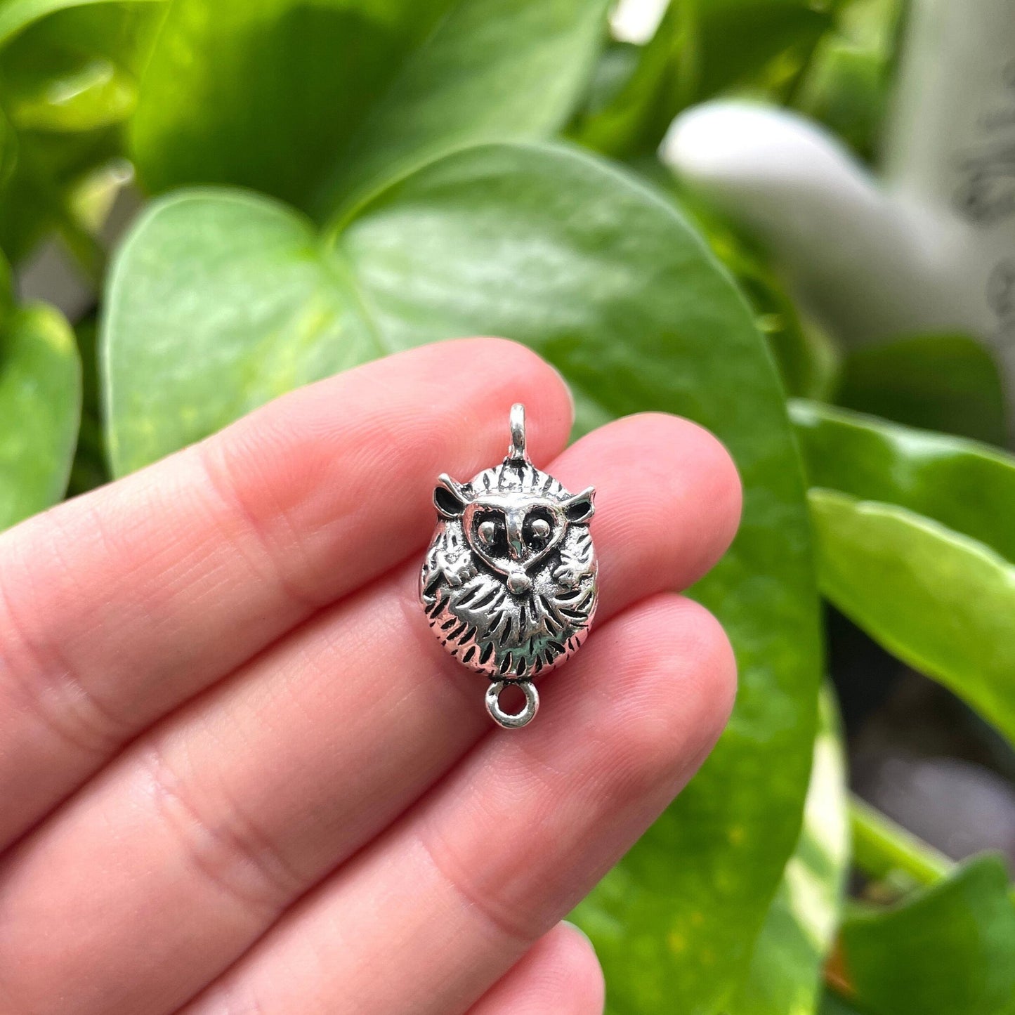 Possum Charm