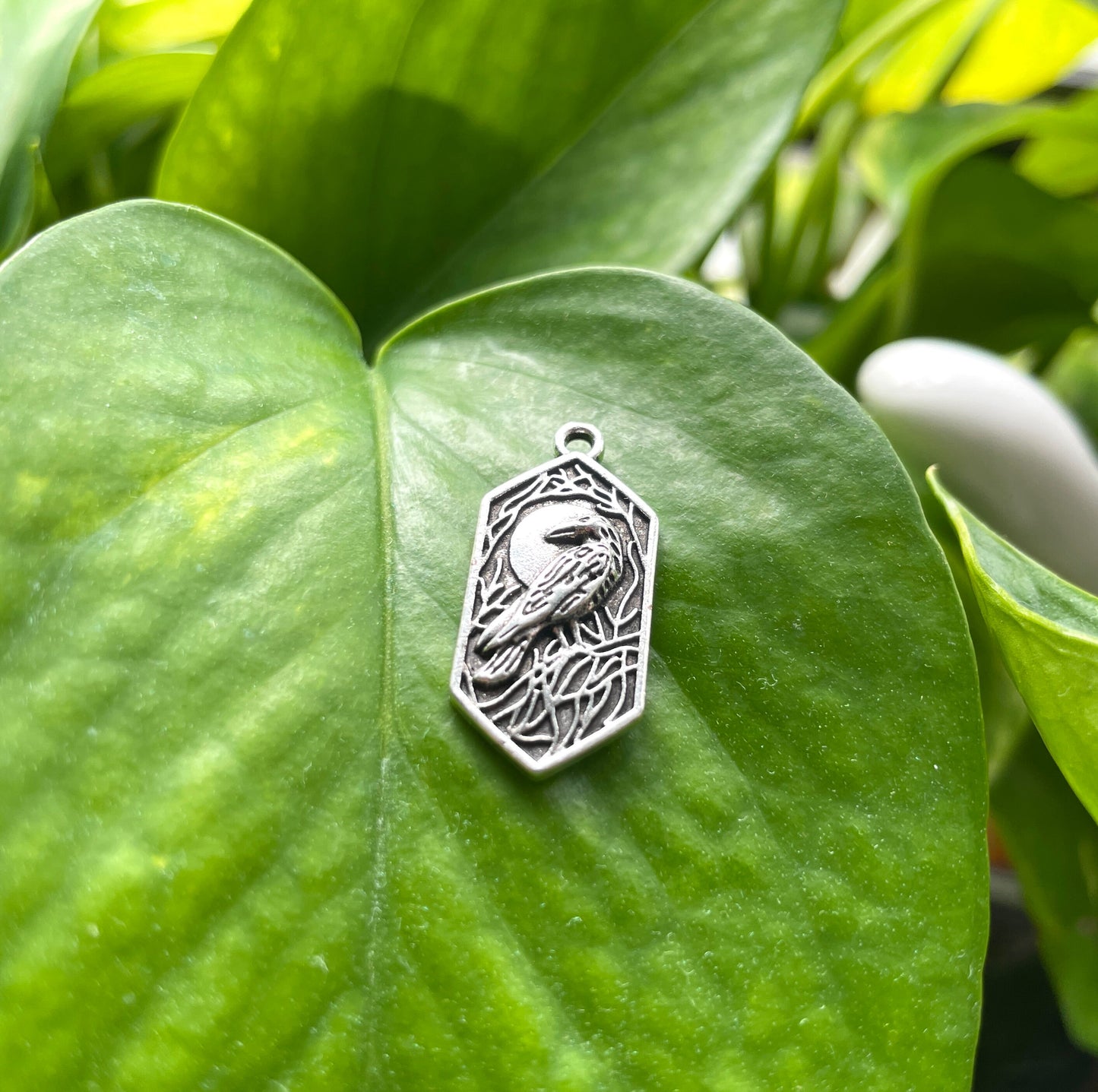 Mystic Crow Charm