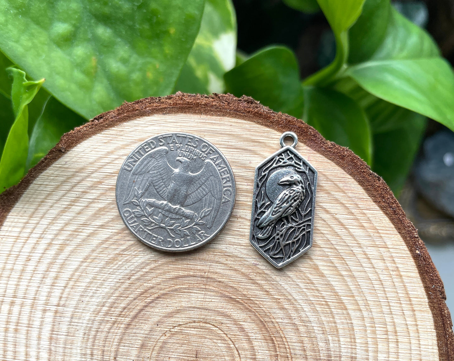 Mystic Crow Charm