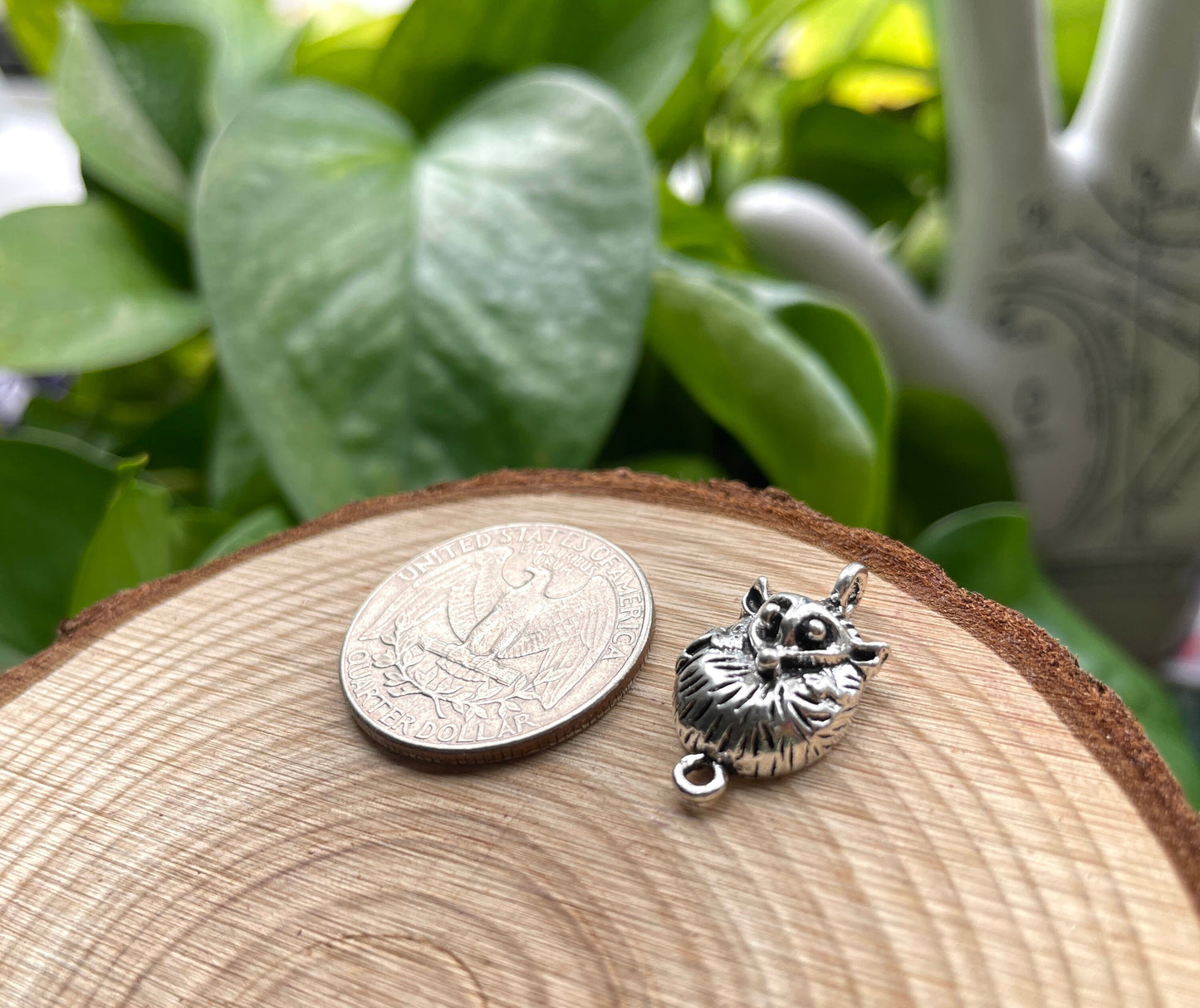 Possum Charm
