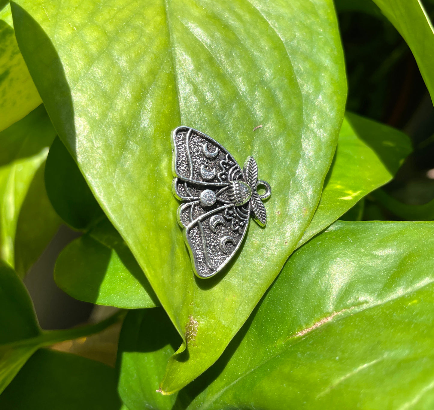 Moon Moth Charm