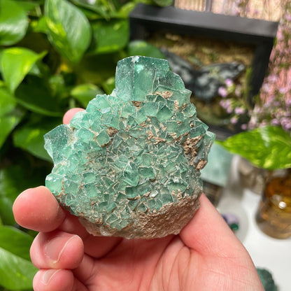 Raw Green Fluorite