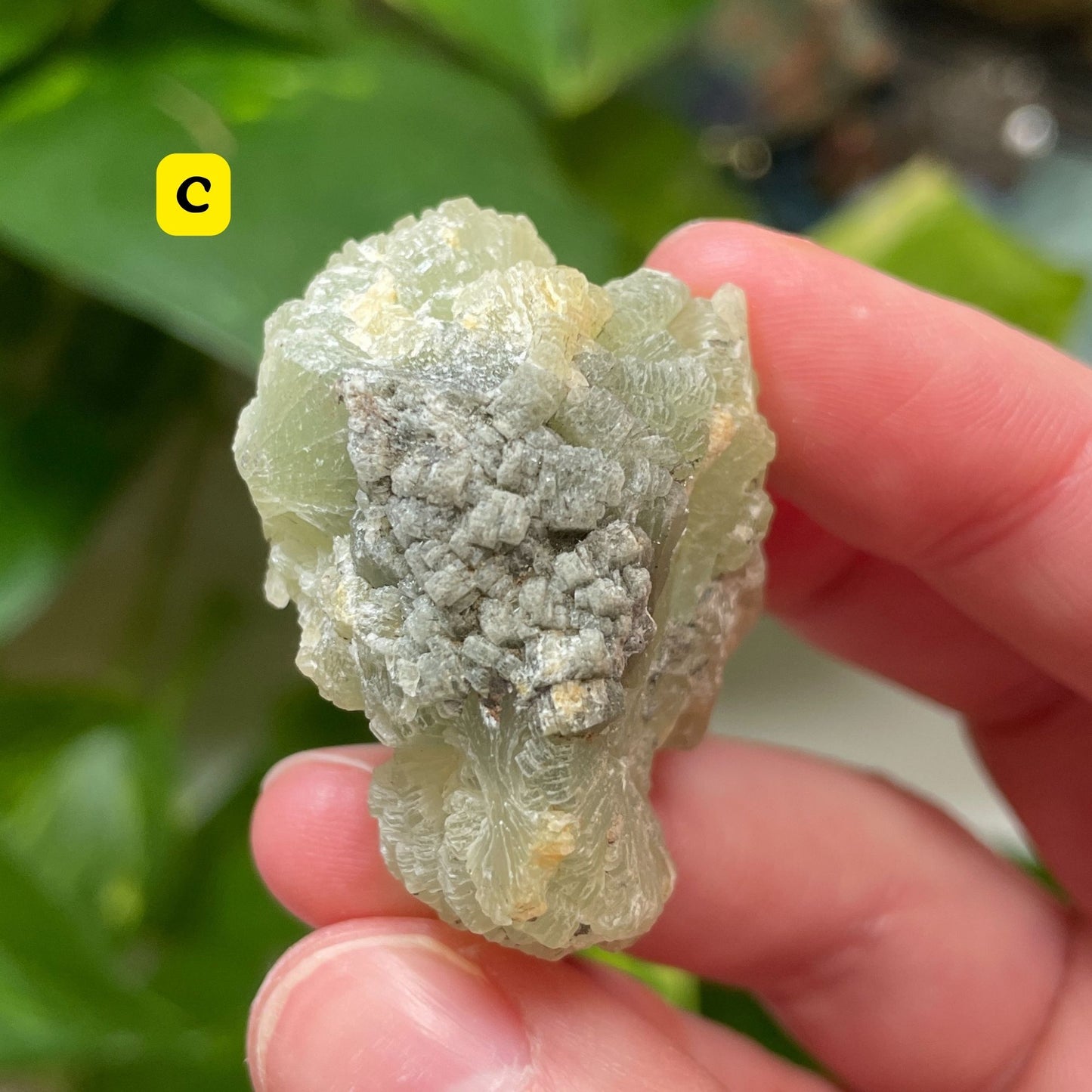 Prehnite Cluster (Choose Your Crystal)
