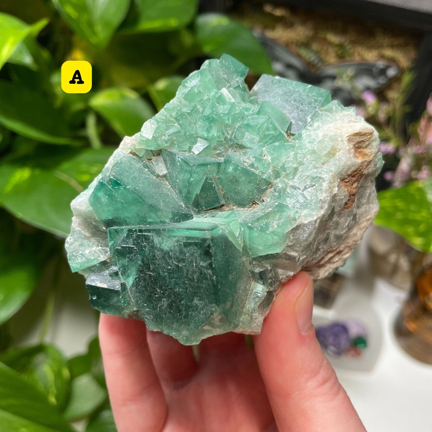 Raw Green Fluorite