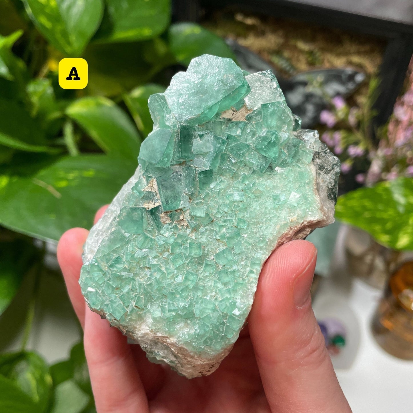 Raw Green Fluorite