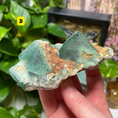 Raw Green Fluorite